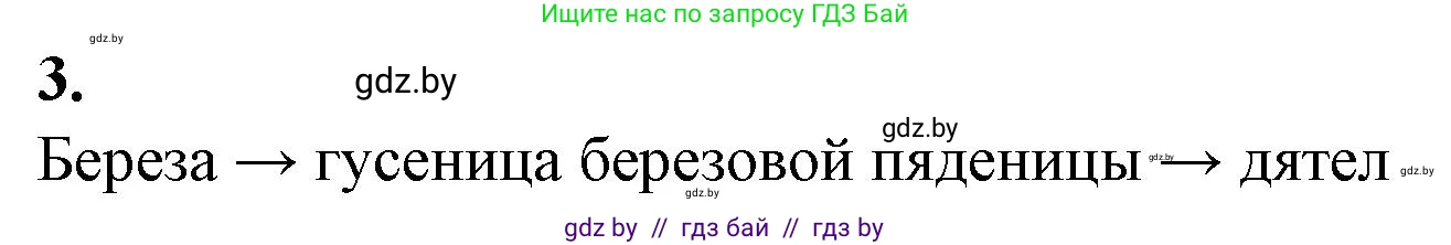 Биология, 10 класс рабочая тетрадь, авторы: Маглыш Сабина Степановна, Кравченко Вячеслав Анатольевич, издательство Аверсэв, Минск, 2021, страница 91, номер 3, Решение