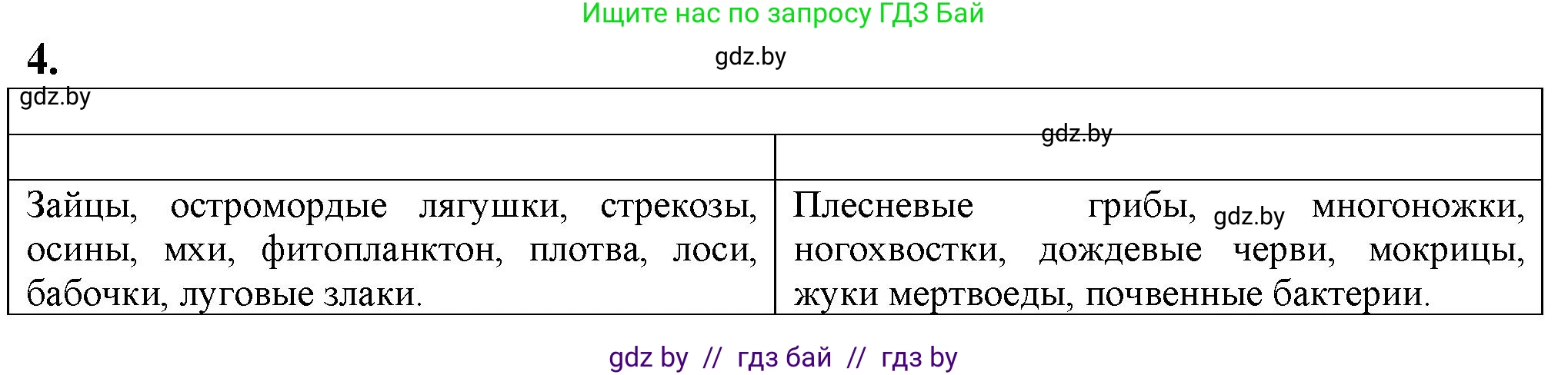 Биология, 10 класс рабочая тетрадь, авторы: Маглыш Сабина Степановна, Кравченко Вячеслав Анатольевич, издательство Аверсэв, Минск, 2021, страница 91, номер 4, Решение