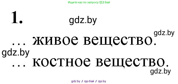 Биология, 10 класс рабочая тетрадь, авторы: Маглыш Сабина Степановна, Кравченко Вячеслав Анатольевич, издательство Аверсэв, Минск, 2021, страница 113, номер 1, Решение