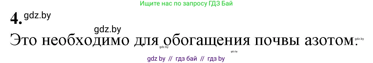 Биология, 10 класс рабочая тетрадь, авторы: Маглыш Сабина Степановна, Кравченко Вячеслав Анатольевич, издательство Аверсэв, Минск, 2021, страница 118, номер 4, Решение