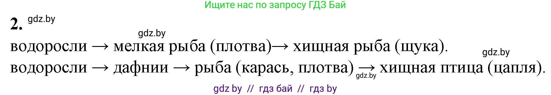 Биология, 10 класс рабочая тетрадь, авторы: Маглыш Сабина Степановна, Кравченко Вячеслав Анатольевич, издательство Аверсэв, Минск, 2021, страница 99, номер 2, Решение