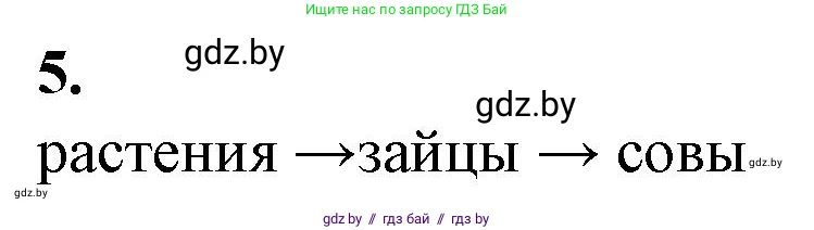 Биология, 10 класс рабочая тетрадь, авторы: Маглыш Сабина Степановна, Кравченко Вячеслав Анатольевич, издательство Аверсэв, Минск, 2021, страница 105, номер 5, Решение