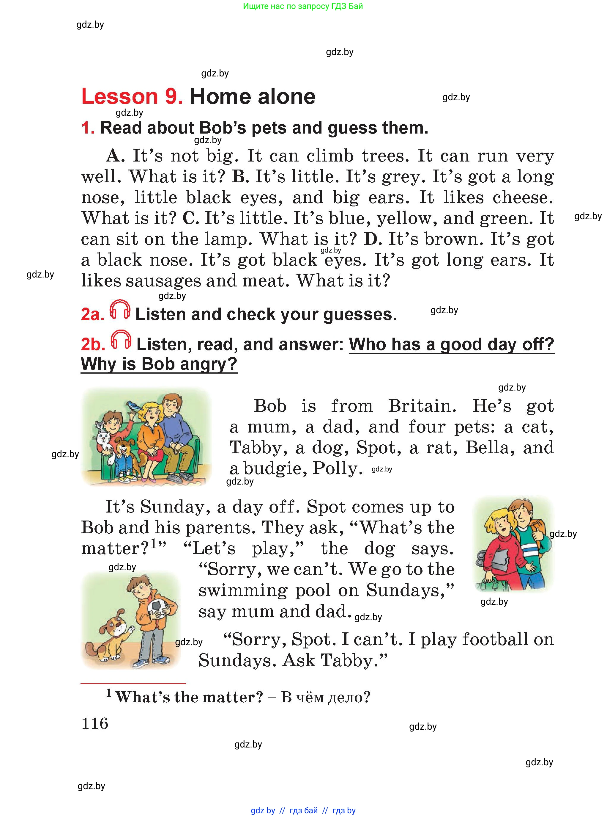 Английский язык (english), 4 класс Учебник (Student's book), авторы: Лапицкая Людмила Михайловна (Lapitskaya Ludmila), Седунова Наталья Михайловна (Sedunova Natalia), издательство Адукацыя i выхаванне, Минск, 2024, бирюзового цвета, Часть ( Part) 1, страница 116