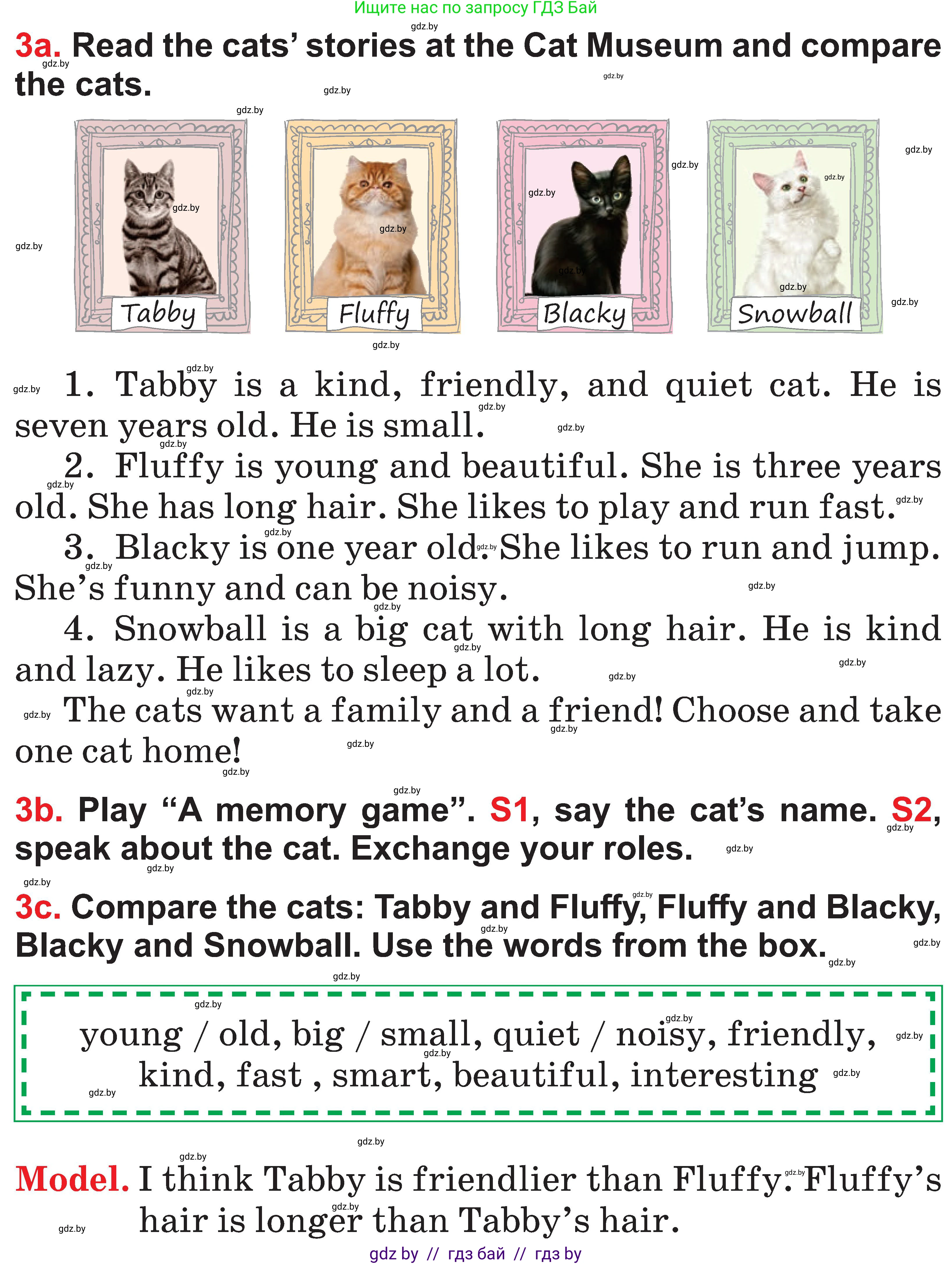 Английский язык (english), 4 класс Учебник (Student's book), авторы: Лапицкая Людмила Михайловна (Lapitskaya Ludmila), Седунова Наталья Михайловна (Sedunova Natalia), издательство Адукацыя i выхаванне, Минск, 2024, бирюзового цвета, Часть ( Part) 1, страница 129, номер 3, Условие