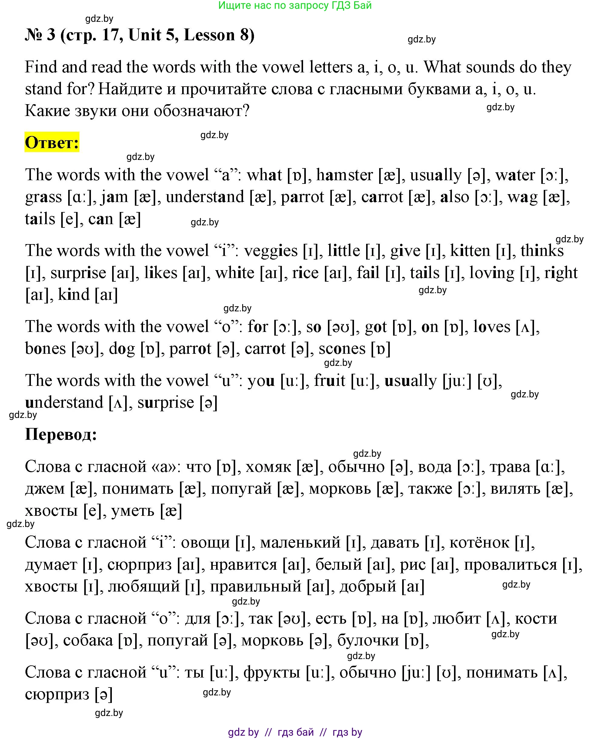 Английский язык (english), 4 класс Учебник (Student's book), авторы: Лапицкая Людмила Михайловна (Lapitskaya Ludmila), Седунова Наталья Михайловна (Sedunova Natalia), издательство Адукацыя i выхаванне, Минск, 2024, бирюзового цвета, Часть ( Part) 2, страница 17, номер 3, Решение 2