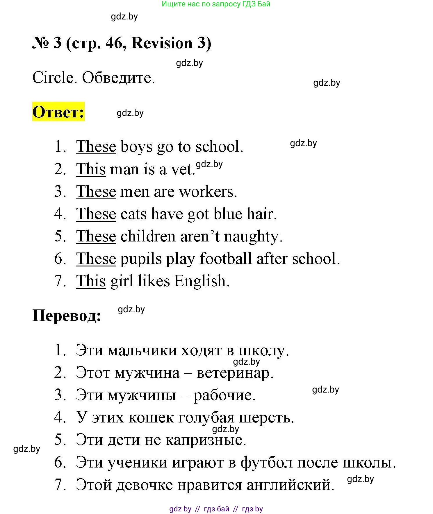 Английский язык (english), 4 класс практикум по грамматике (grammar), автор: Севрюкова Татьяна Юрьевна, издательство Аверсэв, Минск, 2023, страница 46, номер 3, Решение