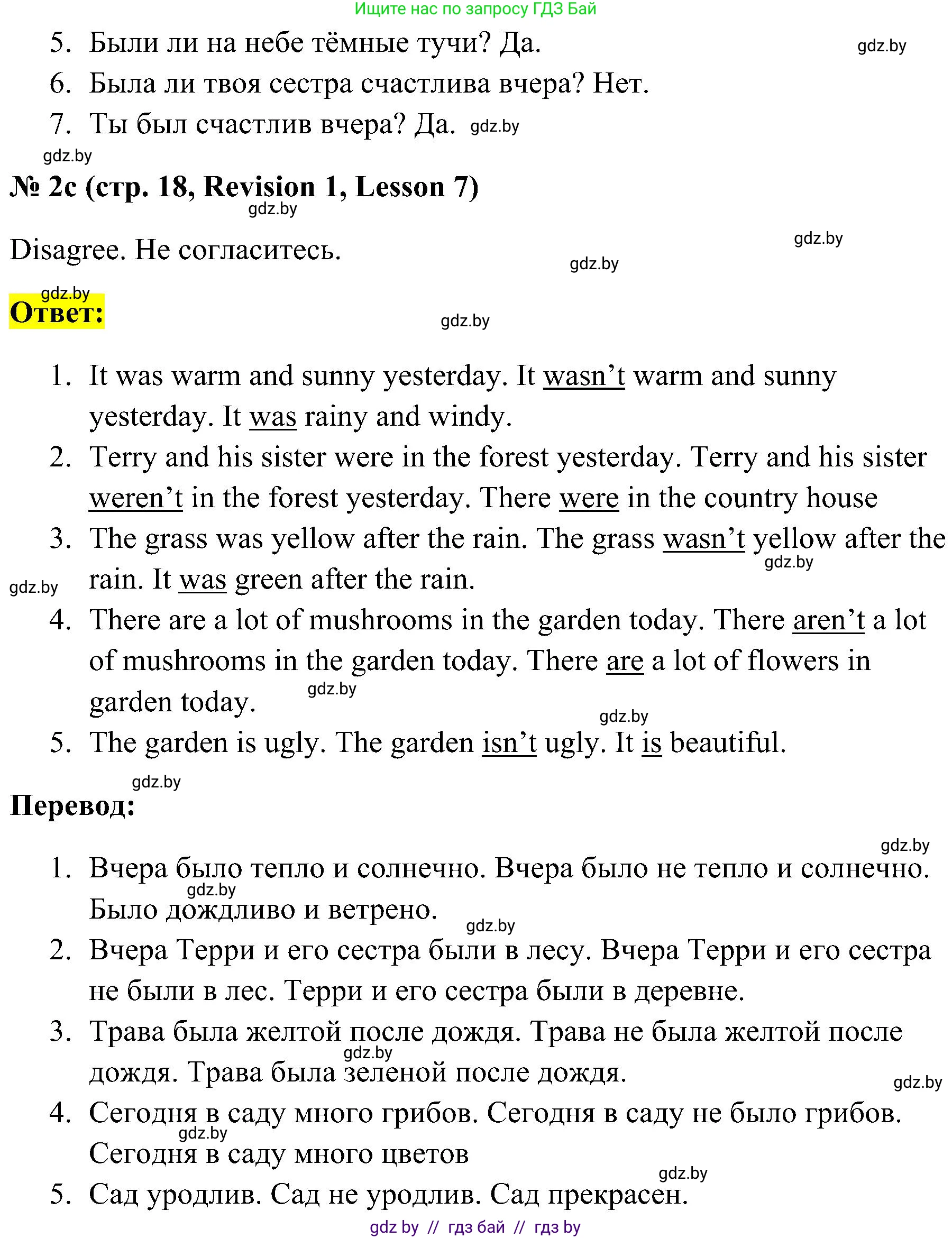 Английский язык (english), 5 класс практикум по грамматике (grammar), автор: Севрюкова Татьяна Юрьевна, издательство Аверсэв, Минск, 2023, оранжевого цвета, страница 18, номер 2, Решение (продолжение 2)