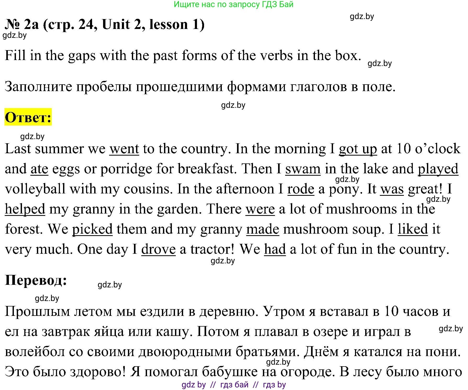 Английский язык (english), 5 класс практикум по грамматике (grammar), автор: Севрюкова Татьяна Юрьевна, издательство Аверсэв, Минск, 2023, оранжевого цвета, страница 24, номер 2, Решение