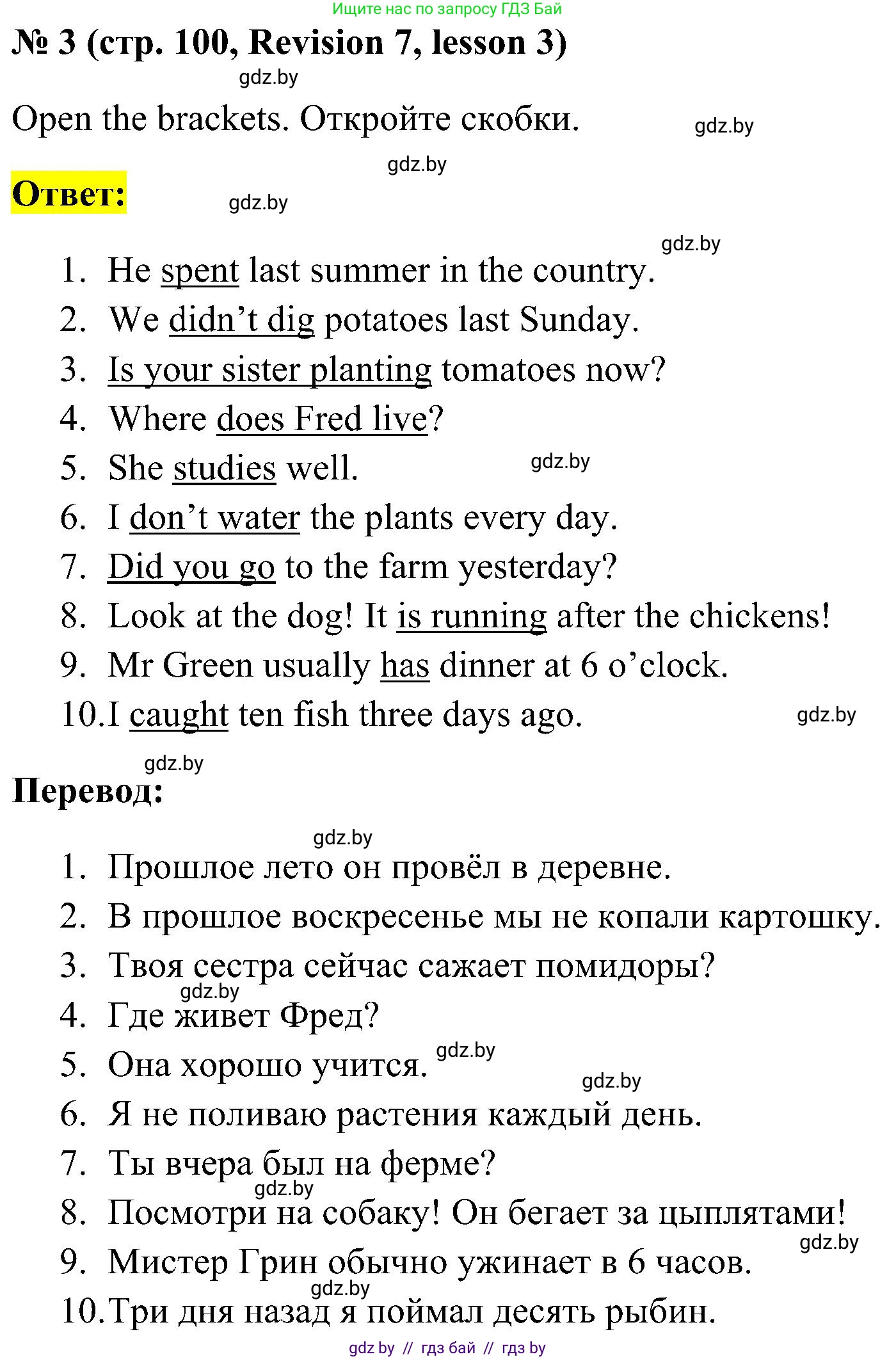 Английский язык (english), 5 класс практикум по грамматике (grammar), автор: Севрюкова Татьяна Юрьевна, издательство Аверсэв, Минск, 2023, оранжевого цвета, страница 100, номер 3, Решение
