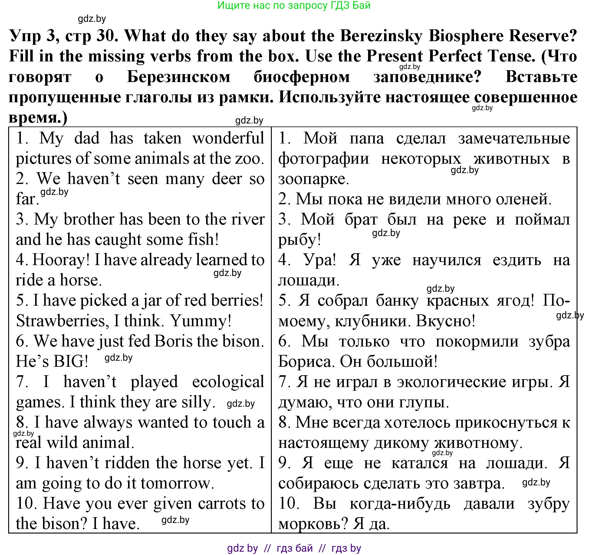 Английский язык (english), 6 класс Тетрадь по грамматике (grammar), авторы: Севрюкова Татьяна Юрьевна, Юхнель Наталья Валентиновна, Бушуева Эдите Владиславовна, издательство Аверсэв, Минск, 2022, зелёного цвета, страница 30, номер 3, Решение