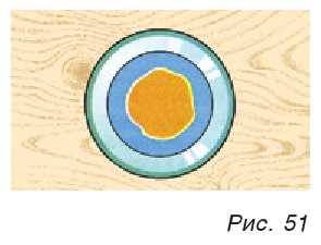 Рис. 51. Масляная пленка