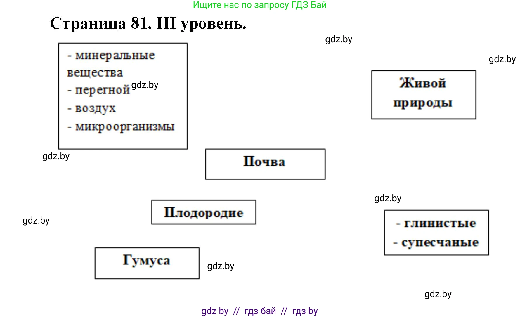 География, 6 класс Тетрадь для практических работ, авторы: Кольмакова Елена Генадьевна, Пикулик Валентина Владимировна, издательство Аверсэв, Минск, 2023, страница 81, Решение