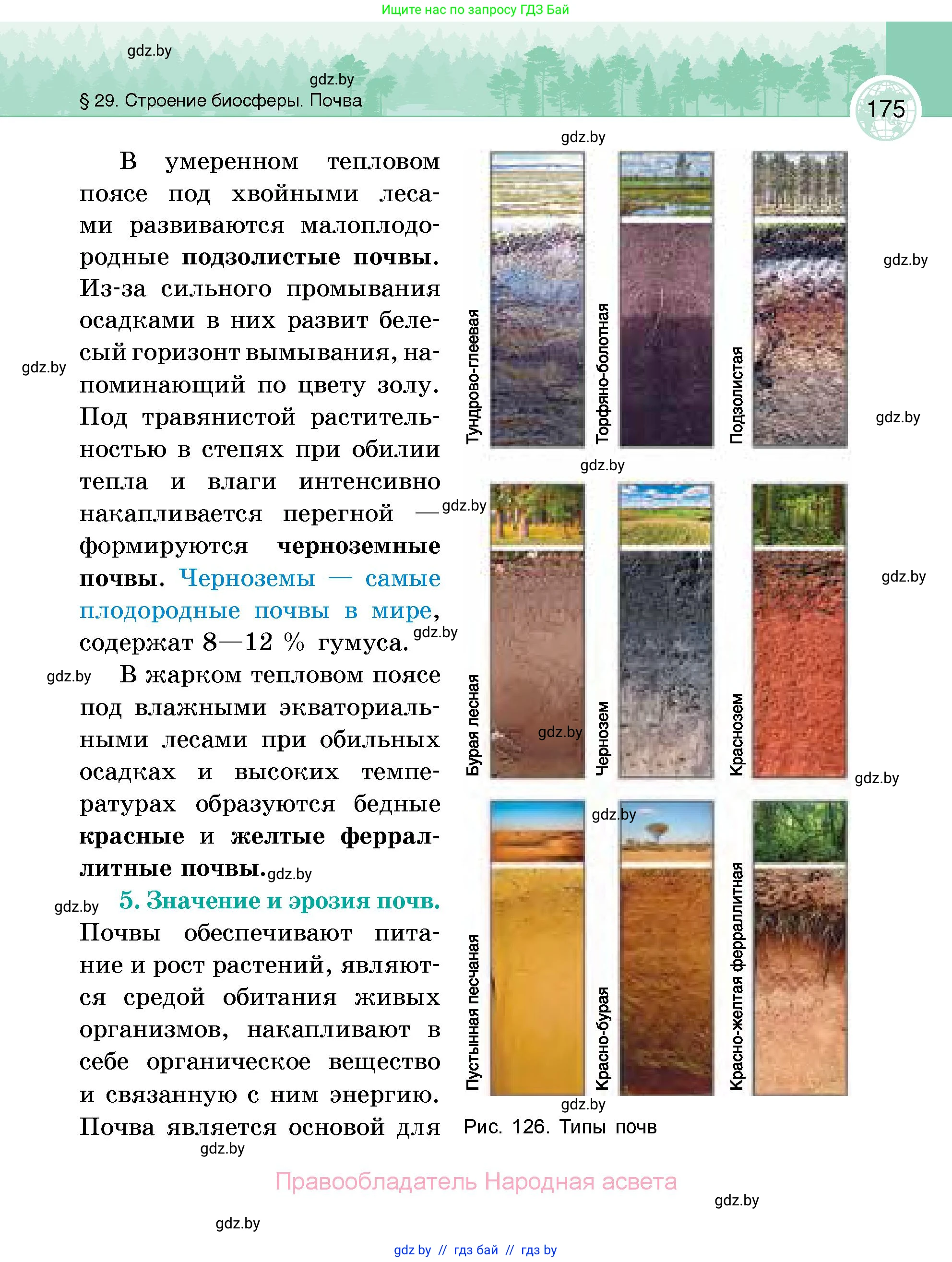 География, 6 класс Учебник, авторы: Кольмакова Елена Генадьевна, Пикулик Валентина Владимировна, издательство Народная асвета, Минск, 2022, страница 175