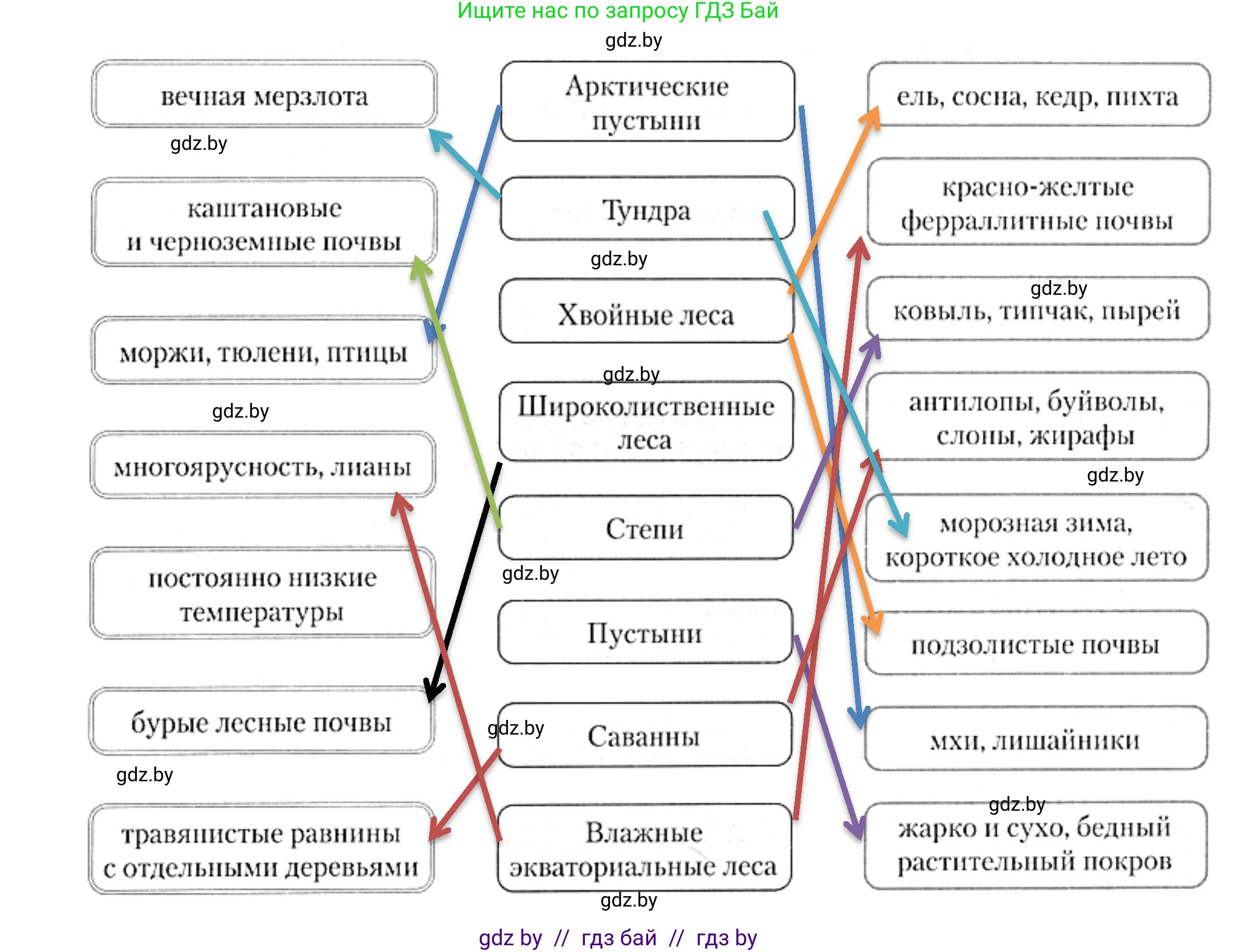 География, 7 класс рабочая тетрадь, авторы: Кольмакова Елена Генадьевна, Сарычева Ольга Владимировна, Тарасенок Елена Николаевна, издательство Аверсэв, Минск, 2024, страница 20, номер 2, Решение