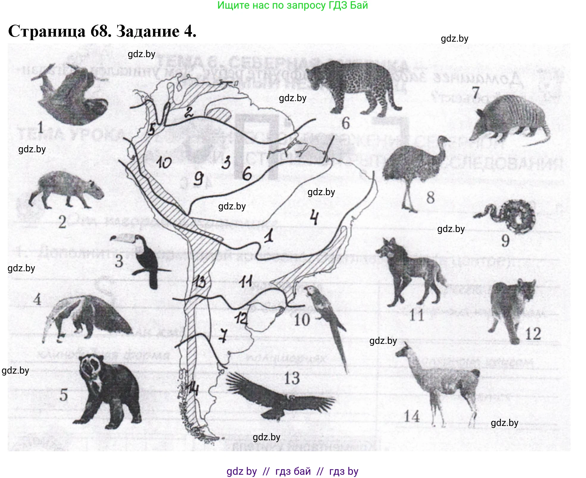 География, 7 класс рабочая тетрадь, авторы: Кольмакова Елена Генадьевна, Сарычева Ольга Владимировна, Тарасенок Елена Николаевна, издательство Аверсэв, Минск, 2024, страница 68, номер 4, Решение