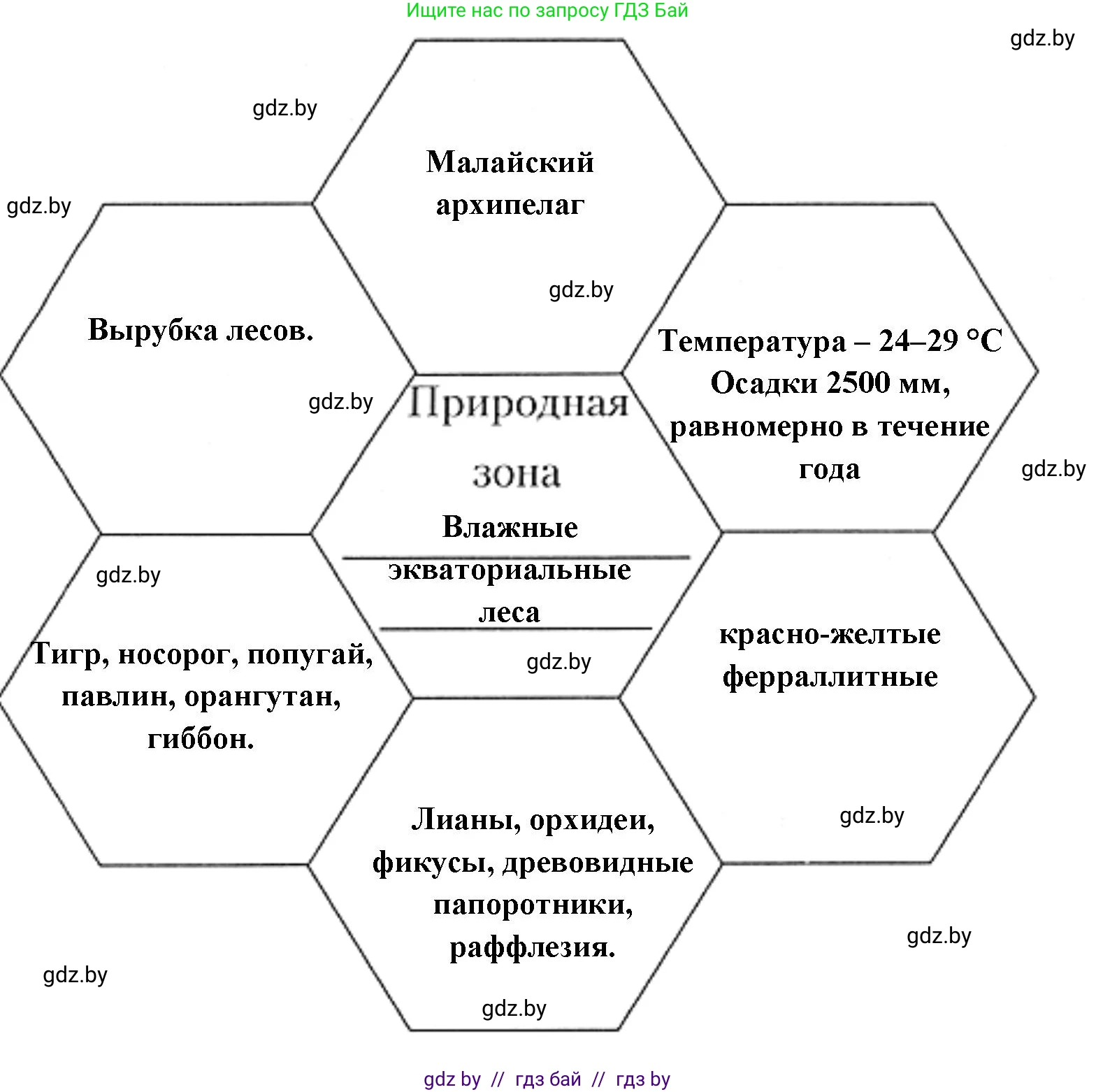 География, 7 класс рабочая тетрадь, авторы: Кольмакова Елена Генадьевна, Сарычева Ольга Владимировна, Тарасенок Елена Николаевна, издательство Аверсэв, Минск, 2024, страница 101, номер 2, Решение