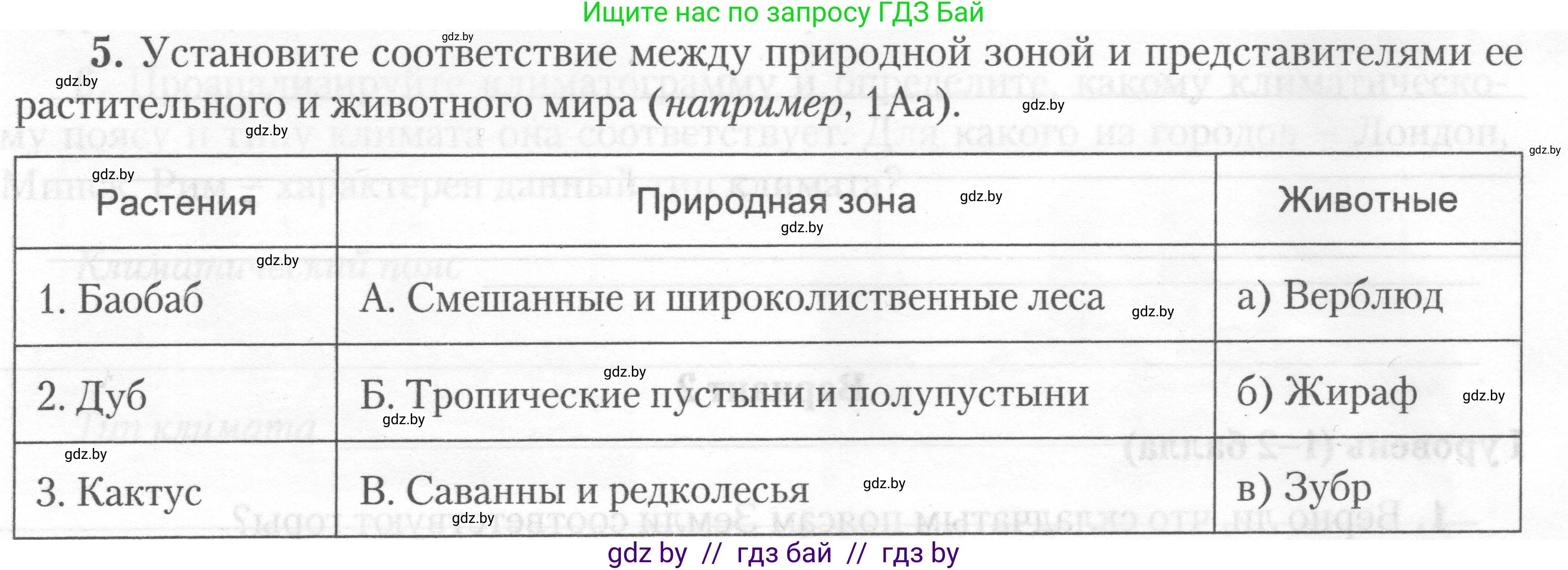 География, 7 класс тетрадь для практических и самостоятельных работ, авторы: Метельский Юрий Михайлович, Чайковская Людмила Ивановна, издательство Сэр-Вит, Минск, 2023, бирюзового цвета, страница 24, номер 5, Условие