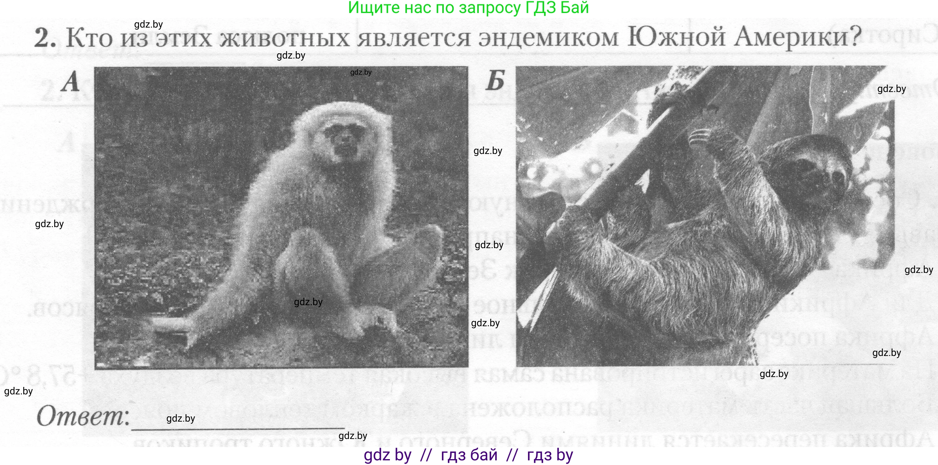 География, 7 класс тетрадь для практических и самостоятельных работ, авторы: Метельский Юрий Михайлович, Чайковская Людмила Ивановна, издательство Сэр-Вит, Минск, 2023, бирюзового цвета, страница 28, номер 2, Условие