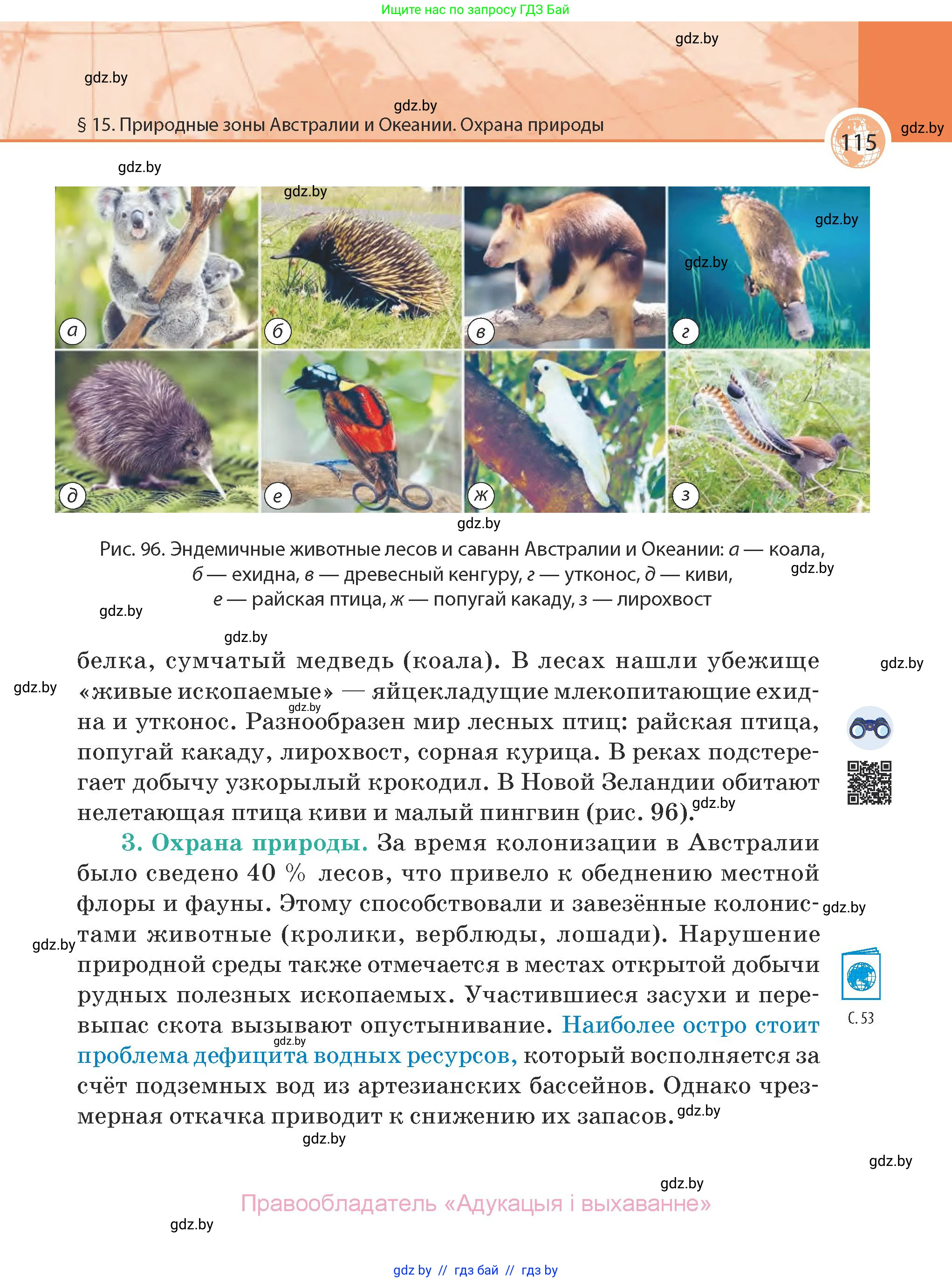 География, 7 класс Учебник, авторы: Кольмакова Елена Генадьевна, Лопух Пётр Степанович, Сарычева Ольга Владимировна, издательство Адукацыя i выхаванне, Минск, 2023, страница 115