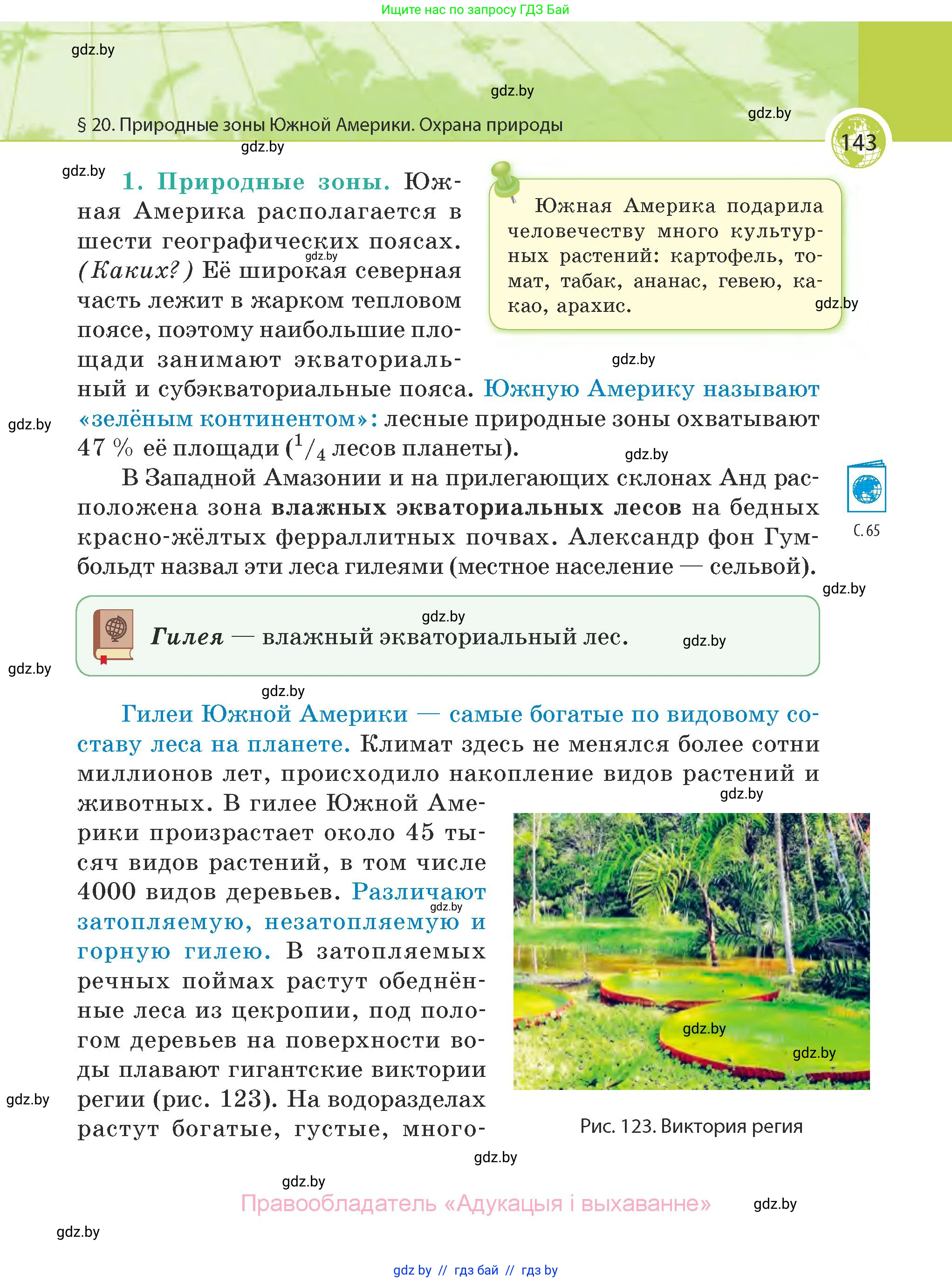 География, 7 класс Учебник, авторы: Кольмакова Елена Генадьевна, Лопух Пётр Степанович, Сарычева Ольга Владимировна, издательство Адукацыя i выхаванне, Минск, 2023, страница 143