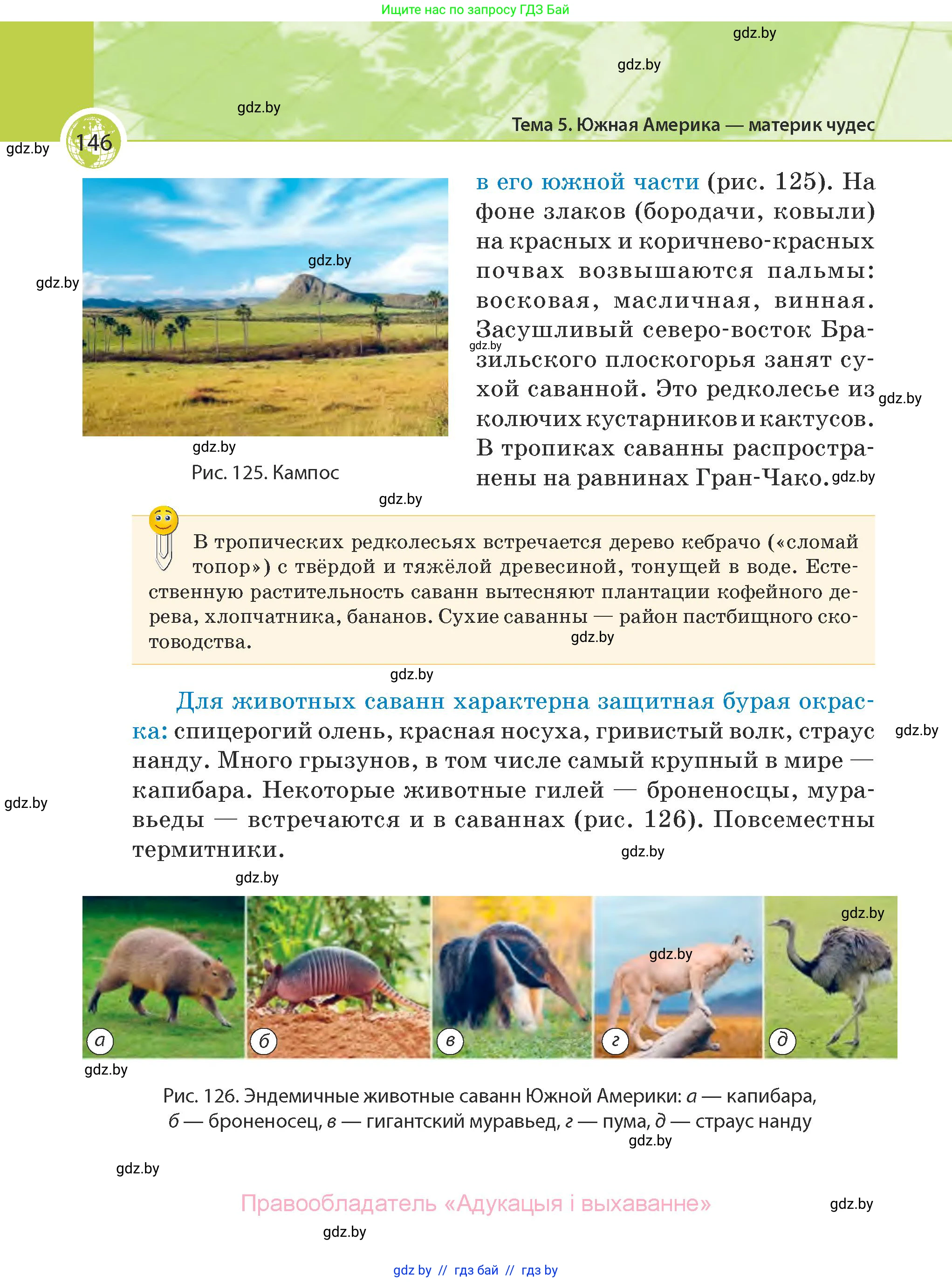 География, 7 класс Учебник, авторы: Кольмакова Елена Генадьевна, Лопух Пётр Степанович, Сарычева Ольга Владимировна, издательство Адукацыя i выхаванне, Минск, 2023, страница 146