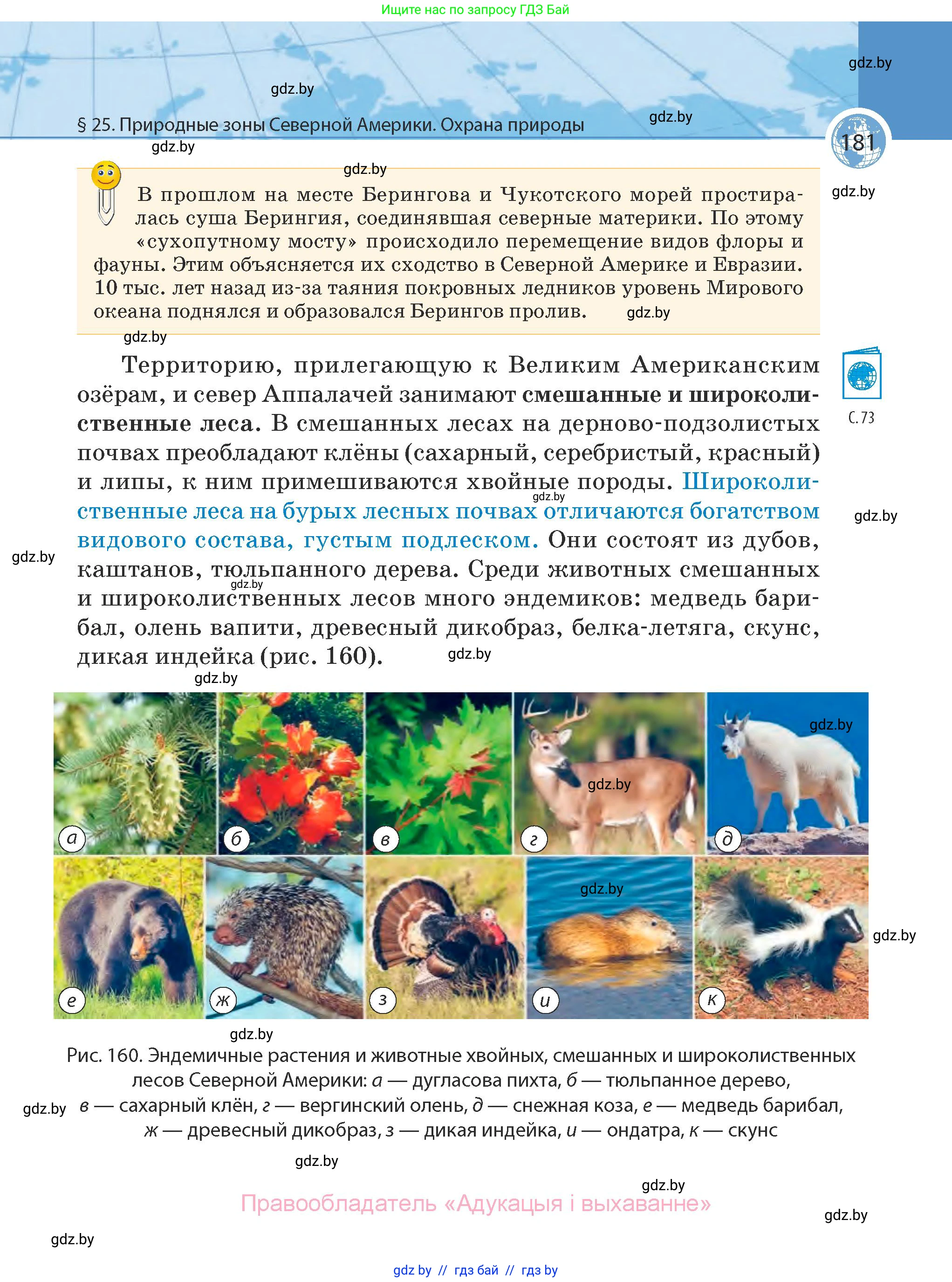 География, 7 класс Учебник, авторы: Кольмакова Елена Генадьевна, Лопух Пётр Степанович, Сарычева Ольга Владимировна, издательство Адукацыя i выхаванне, Минск, 2023, страница 181