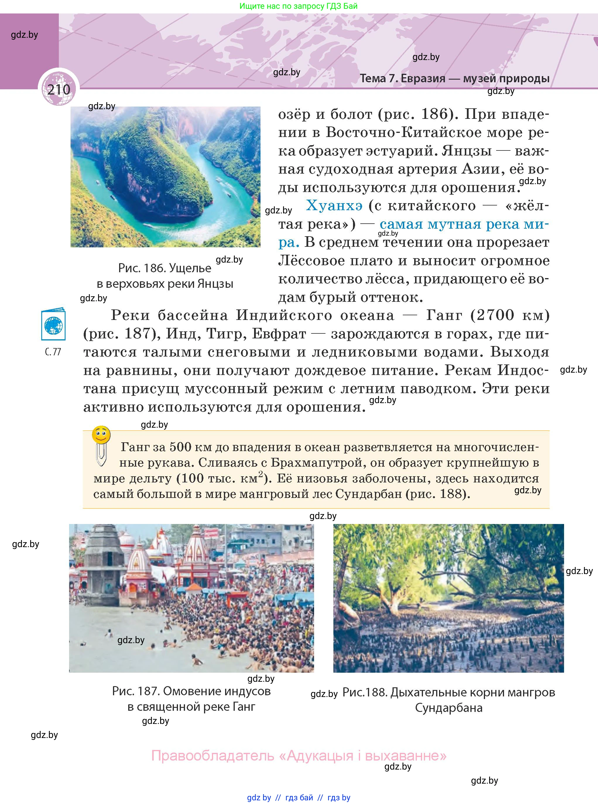География, 7 класс Учебник, авторы: Кольмакова Елена Генадьевна, Лопух Пётр Степанович, Сарычева Ольга Владимировна, издательство Адукацыя i выхаванне, Минск, 2023, страница 210