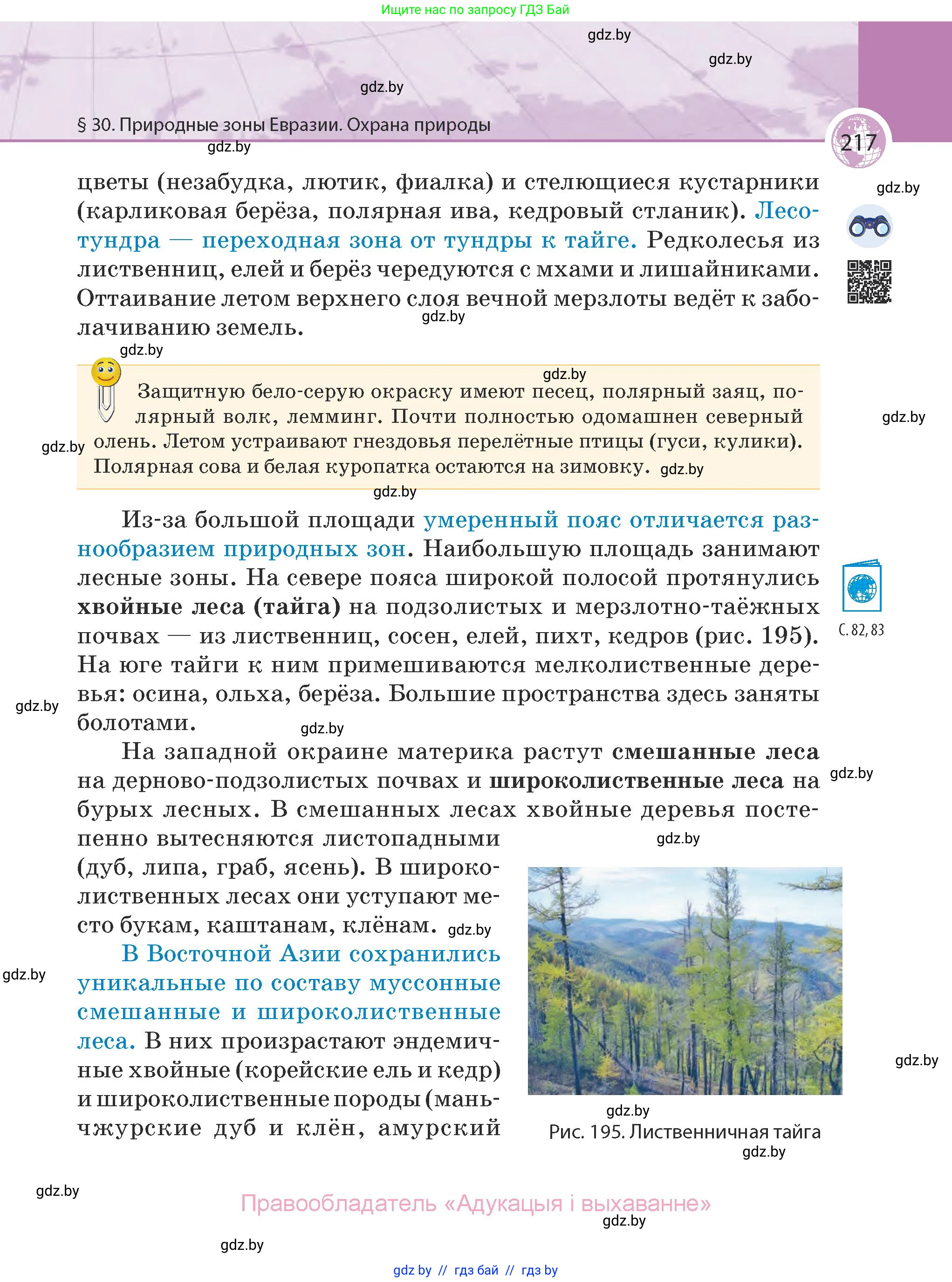 География, 7 класс Учебник, авторы: Кольмакова Елена Генадьевна, Лопух Пётр Степанович, Сарычева Ольга Владимировна, издательство Адукацыя i выхаванне, Минск, 2023, страница 217