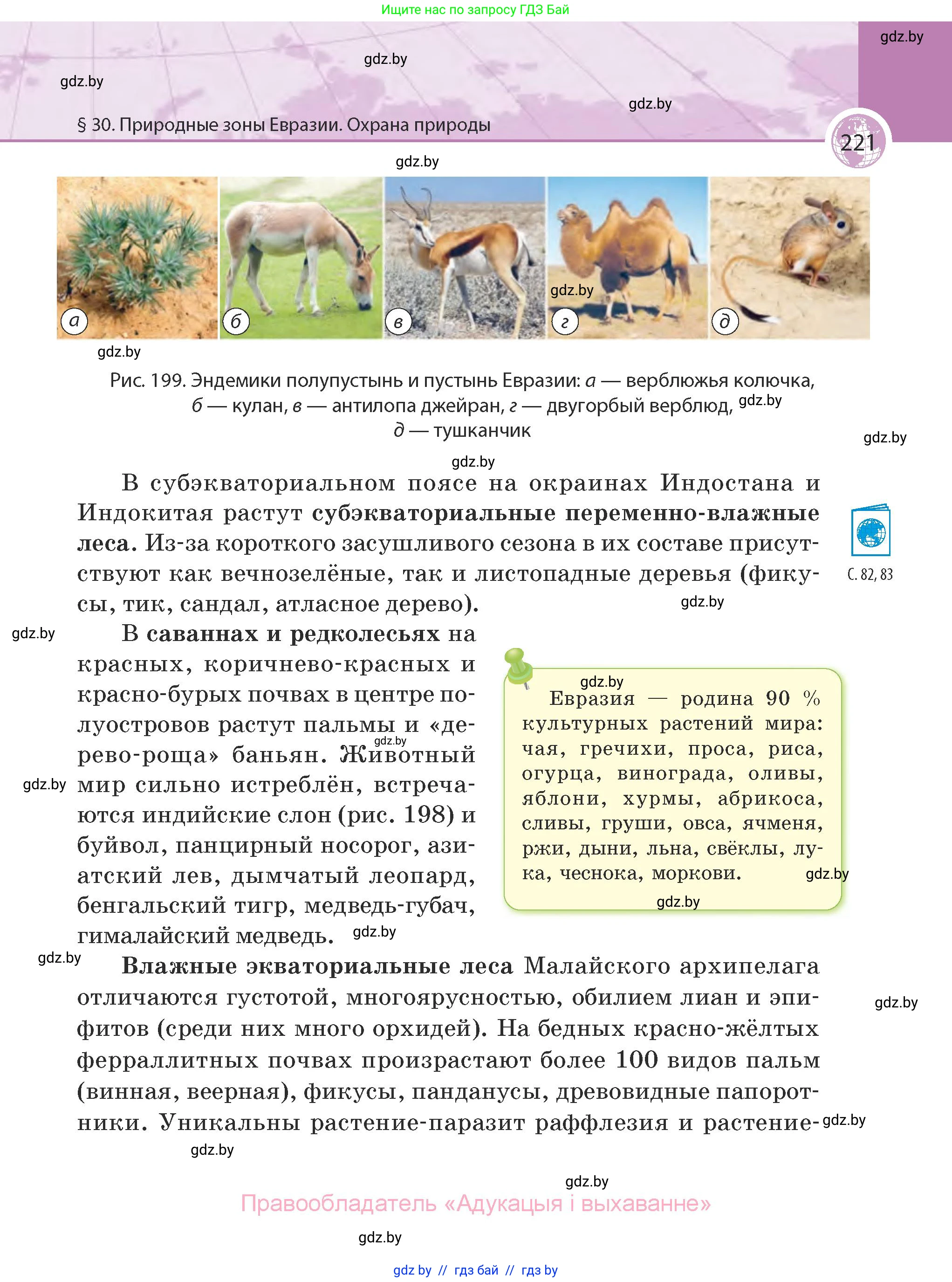 География, 7 класс Учебник, авторы: Кольмакова Елена Генадьевна, Лопух Пётр Степанович, Сарычева Ольга Владимировна, издательство Адукацыя i выхаванне, Минск, 2023, страница 221