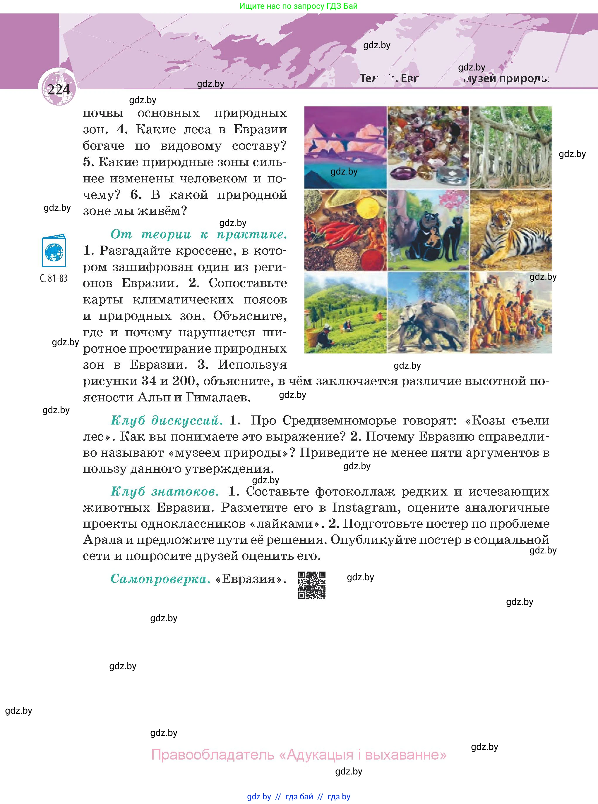 География, 7 класс Учебник, авторы: Кольмакова Елена Генадьевна, Лопух Пётр Степанович, Сарычева Ольга Владимировна, издательство Адукацыя i выхаванне, Минск, 2023, страница 224