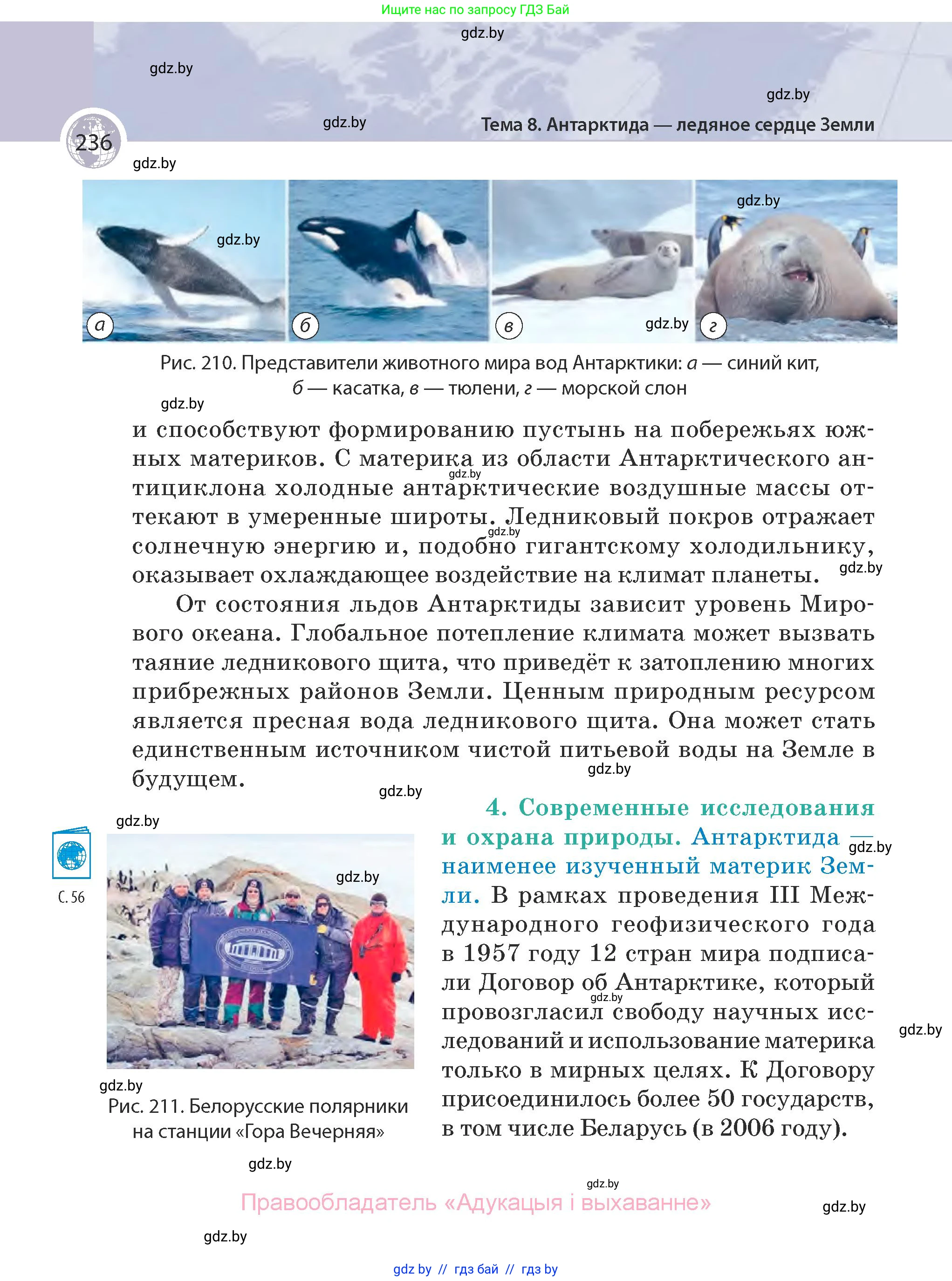 География, 7 класс Учебник, авторы: Кольмакова Елена Генадьевна, Лопух Пётр Степанович, Сарычева Ольга Владимировна, издательство Адукацыя i выхаванне, Минск, 2023, страница 236