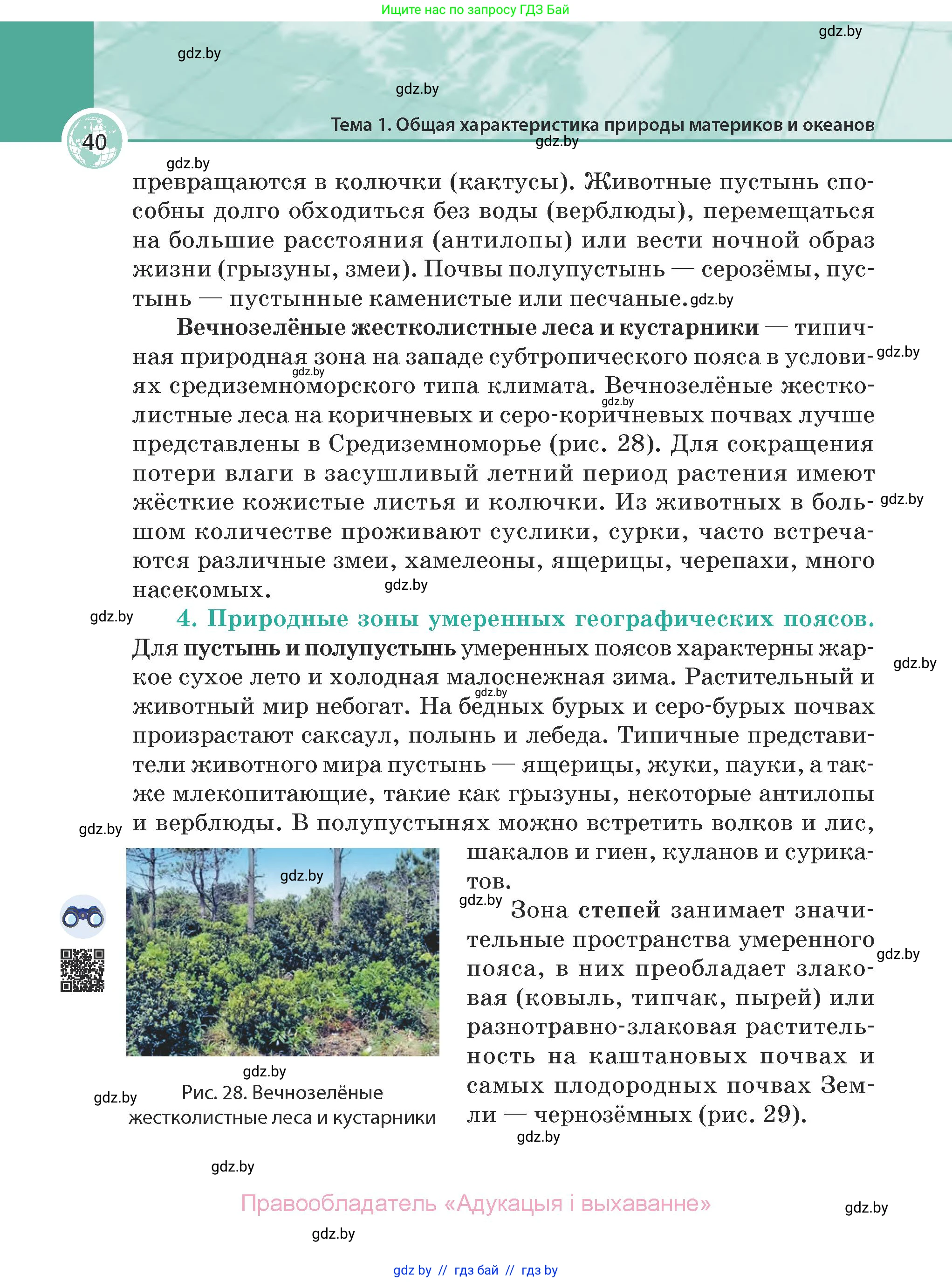 География, 7 класс Учебник, авторы: Кольмакова Елена Генадьевна, Лопух Пётр Степанович, Сарычева Ольга Владимировна, издательство Адукацыя i выхаванне, Минск, 2023, страница 40