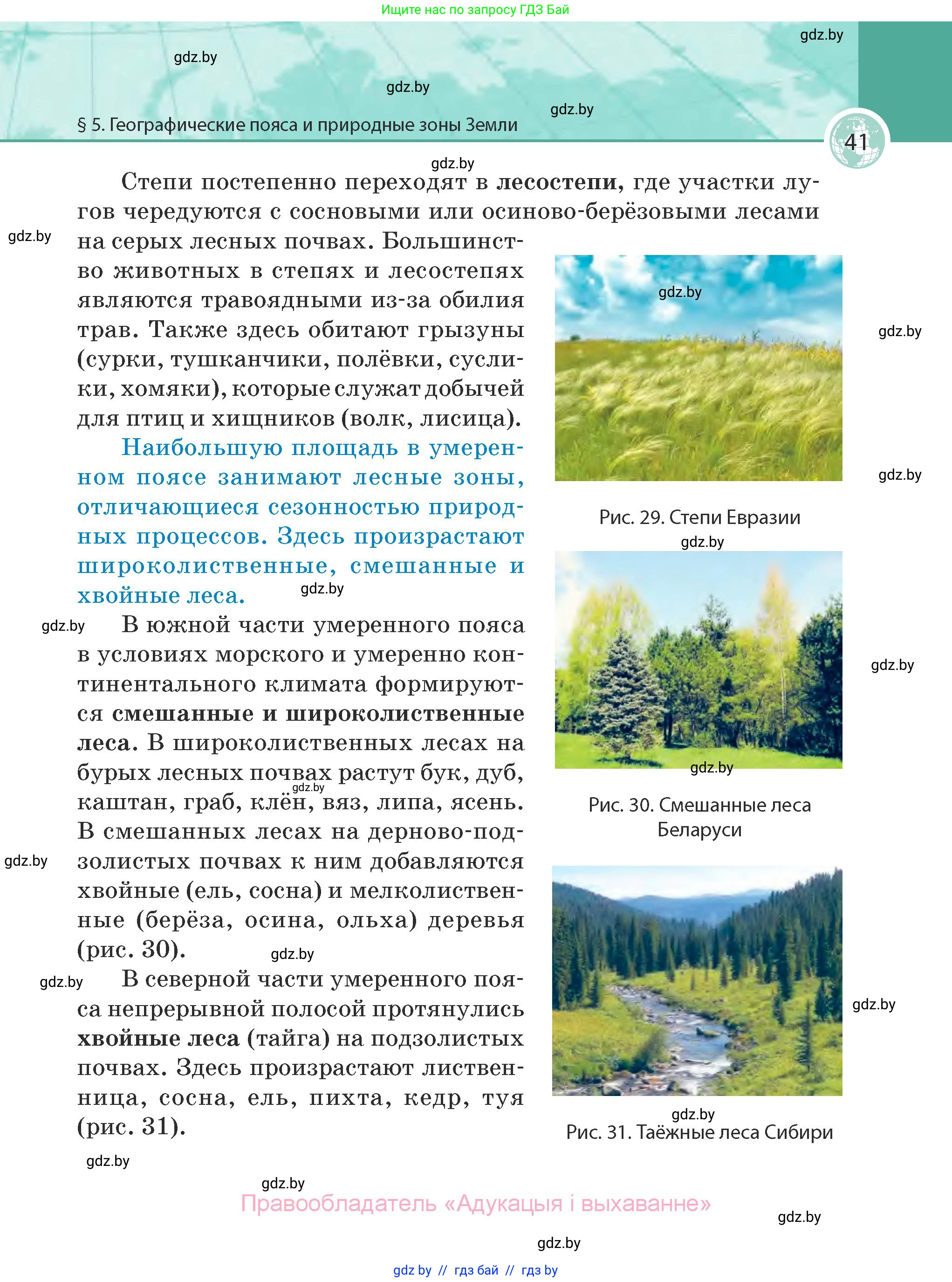 География, 7 класс Учебник, авторы: Кольмакова Елена Генадьевна, Лопух Пётр Степанович, Сарычева Ольга Владимировна, издательство Адукацыя i выхаванне, Минск, 2023, страница 41
