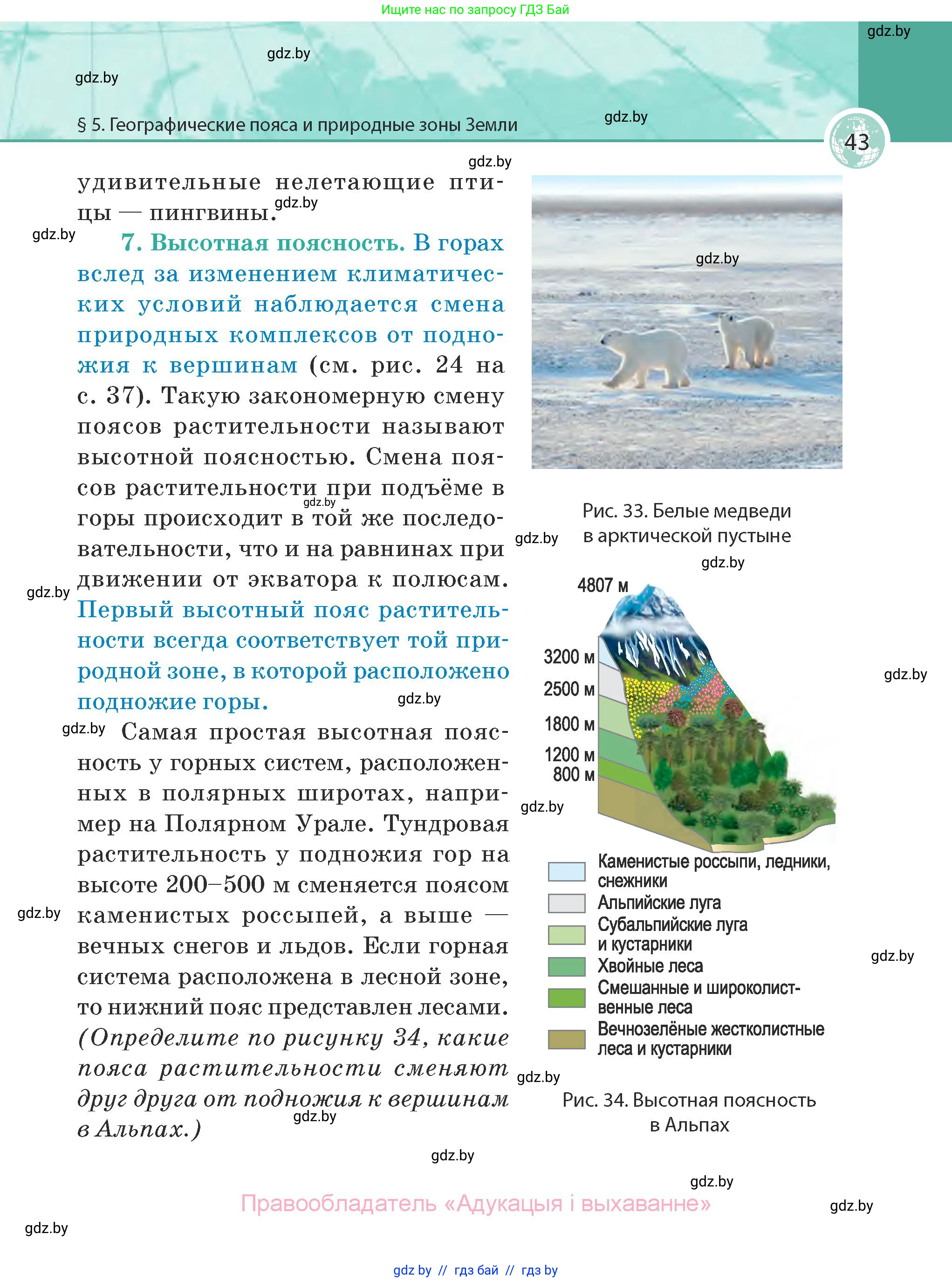 География, 7 класс Учебник, авторы: Кольмакова Елена Генадьевна, Лопух Пётр Степанович, Сарычева Ольга Владимировна, издательство Адукацыя i выхаванне, Минск, 2023, страница 43