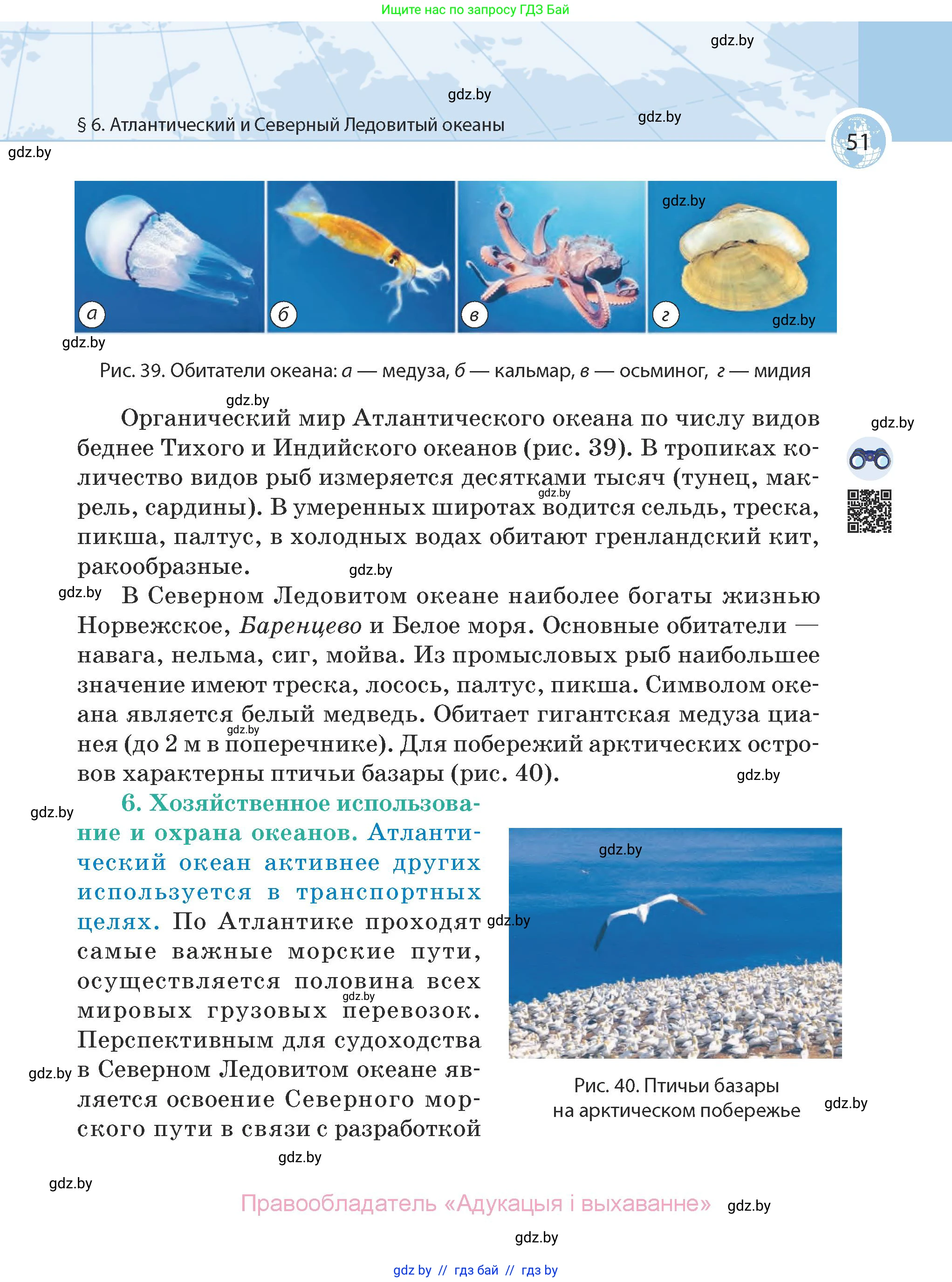 География, 7 класс Учебник, авторы: Кольмакова Елена Генадьевна, Лопух Пётр Степанович, Сарычева Ольга Владимировна, издательство Адукацыя i выхаванне, Минск, 2023, страница 51