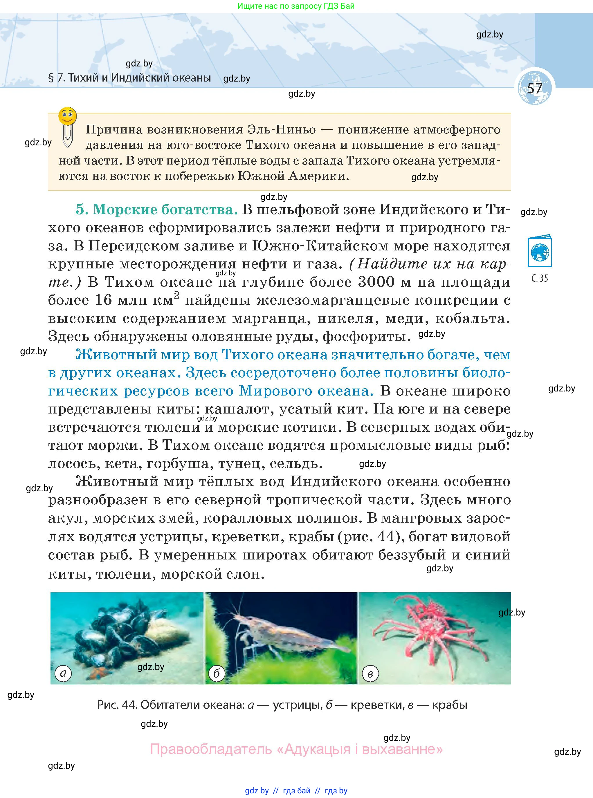 География, 7 класс Учебник, авторы: Кольмакова Елена Генадьевна, Лопух Пётр Степанович, Сарычева Ольга Владимировна, издательство Адукацыя i выхаванне, Минск, 2023, страница 57