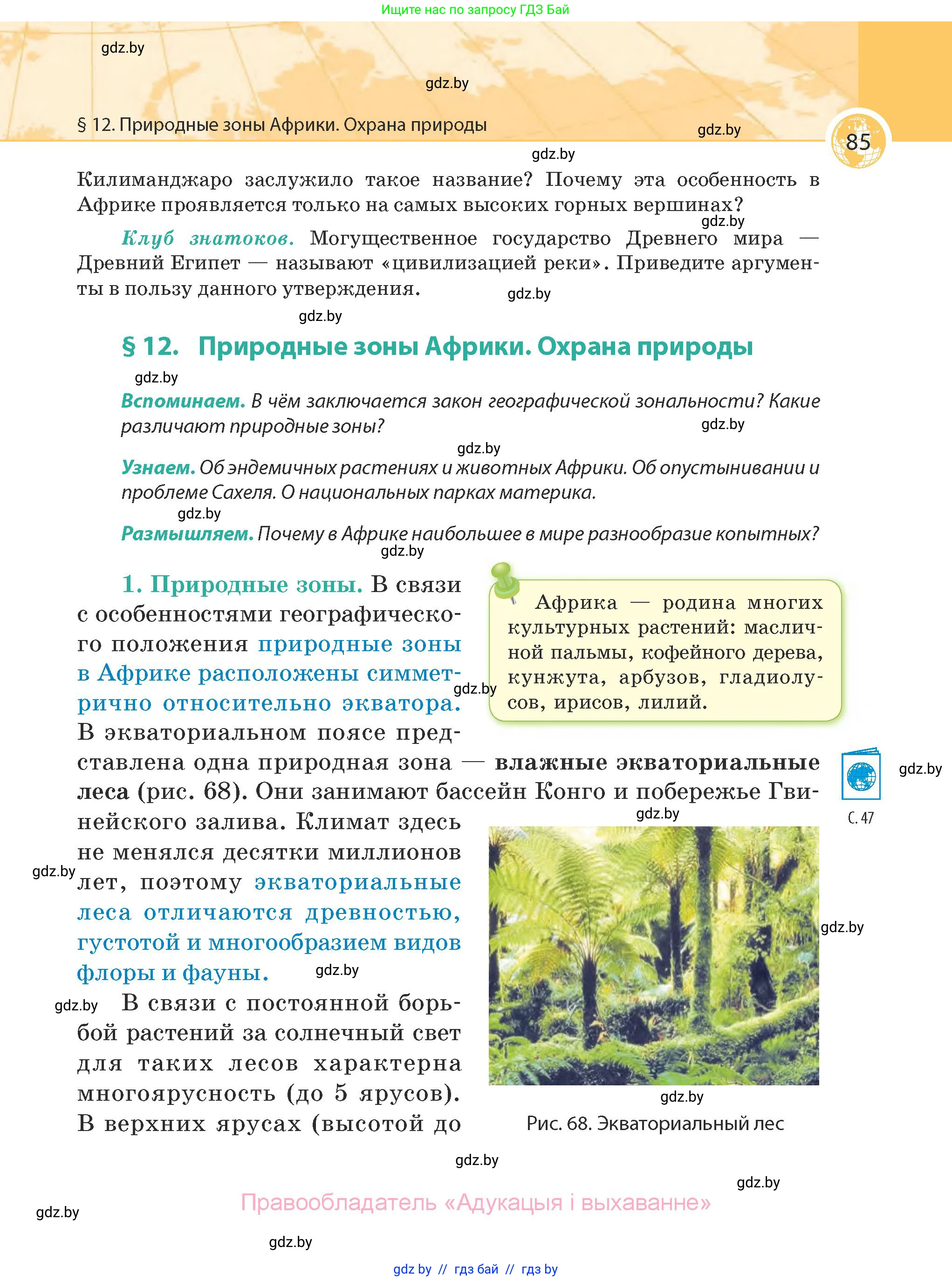 География, 7 класс Учебник, авторы: Кольмакова Елена Генадьевна, Лопух Пётр Степанович, Сарычева Ольга Владимировна, издательство Адукацыя i выхаванне, Минск, 2023, страница 85