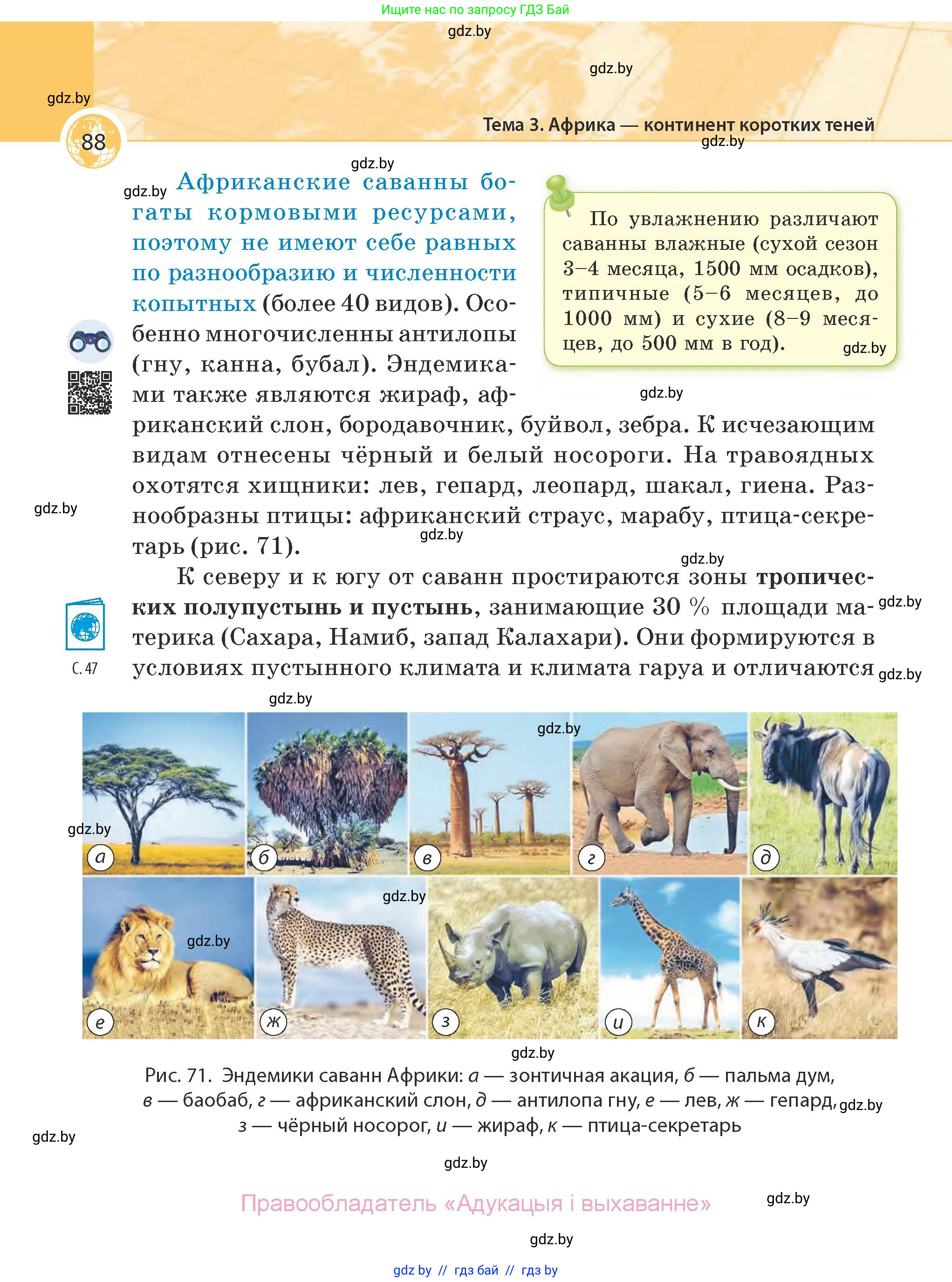 География, 7 класс Учебник, авторы: Кольмакова Елена Генадьевна, Лопух Пётр Степанович, Сарычева Ольга Владимировна, издательство Адукацыя i выхаванне, Минск, 2023, страница 88