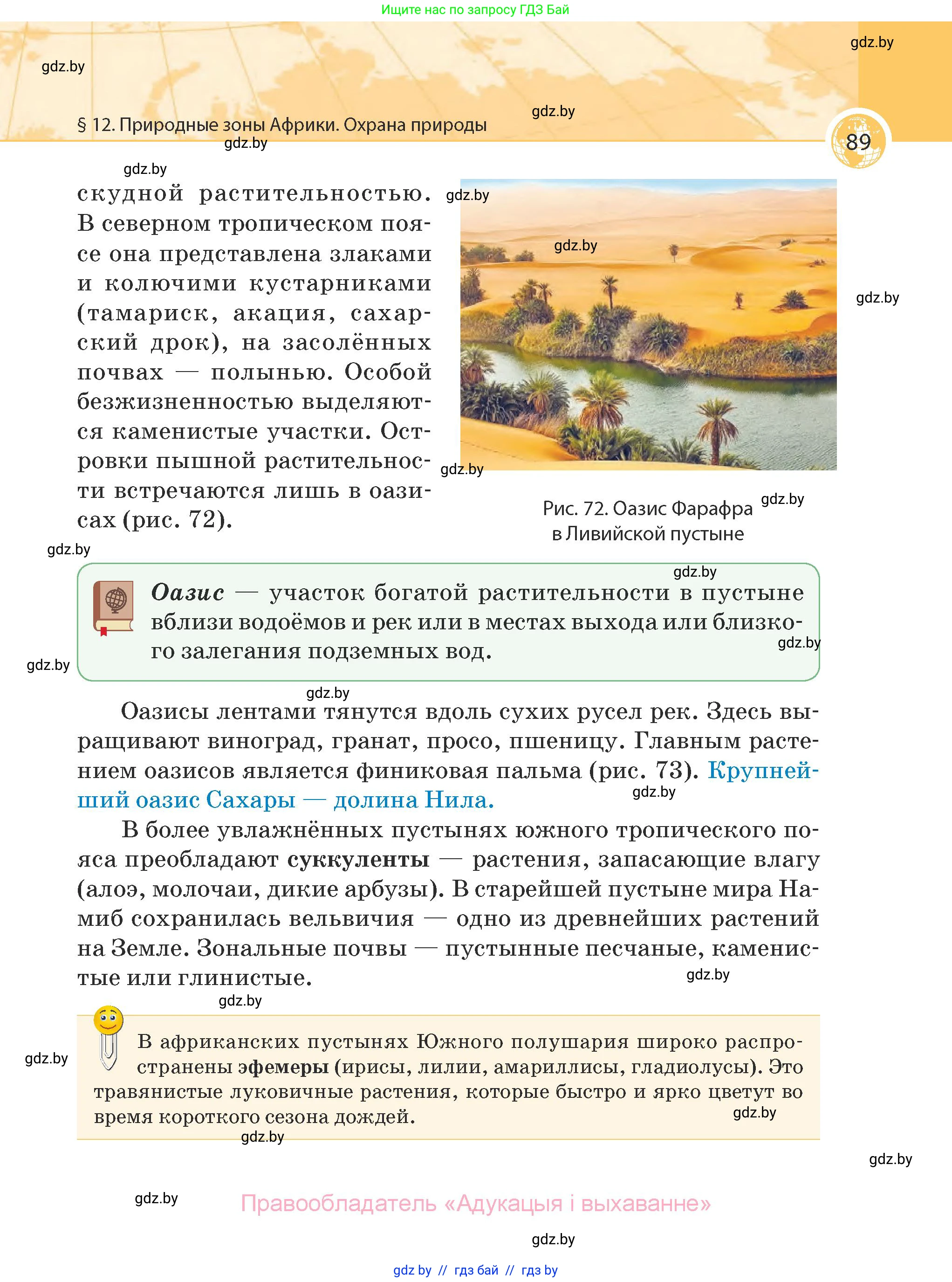 География, 7 класс Учебник, авторы: Кольмакова Елена Генадьевна, Лопух Пётр Степанович, Сарычева Ольга Владимировна, издательство Адукацыя i выхаванне, Минск, 2023, страница 89