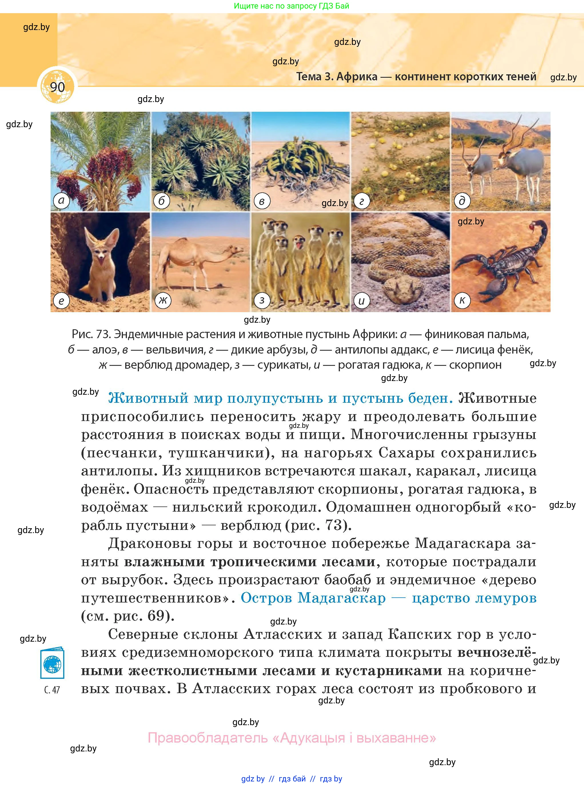 География, 7 класс Учебник, авторы: Кольмакова Елена Генадьевна, Лопух Пётр Степанович, Сарычева Ольга Владимировна, издательство Адукацыя i выхаванне, Минск, 2023, страница 90