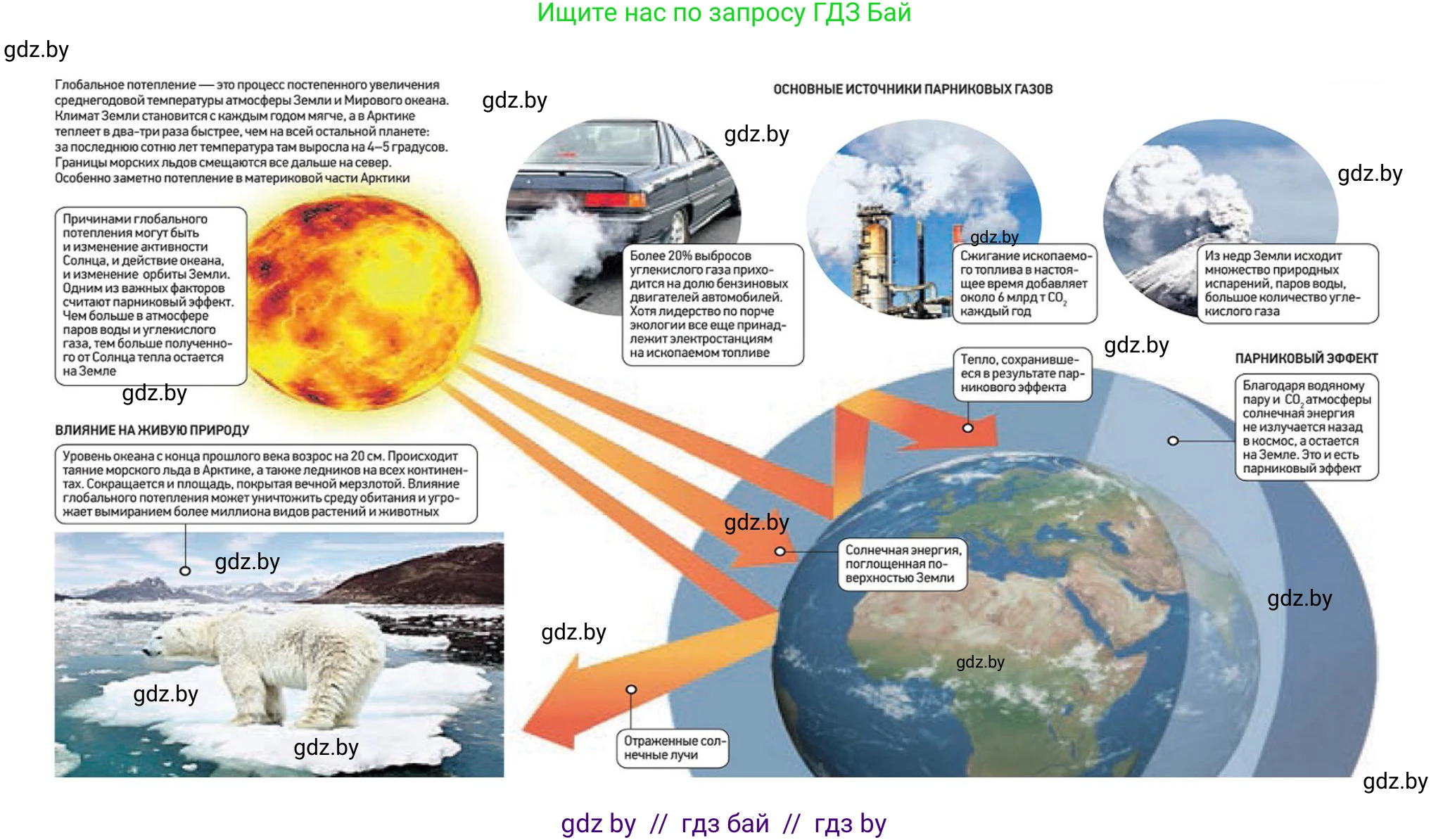 География, 7 класс Учебник, авторы: Кольмакова Елена Генадьевна, Лопух Пётр Степанович, Сарычева Ольга Владимировна, издательство Адукацыя i выхаванне, Минск, 2023, страница 12, Решение (продолжение 2)