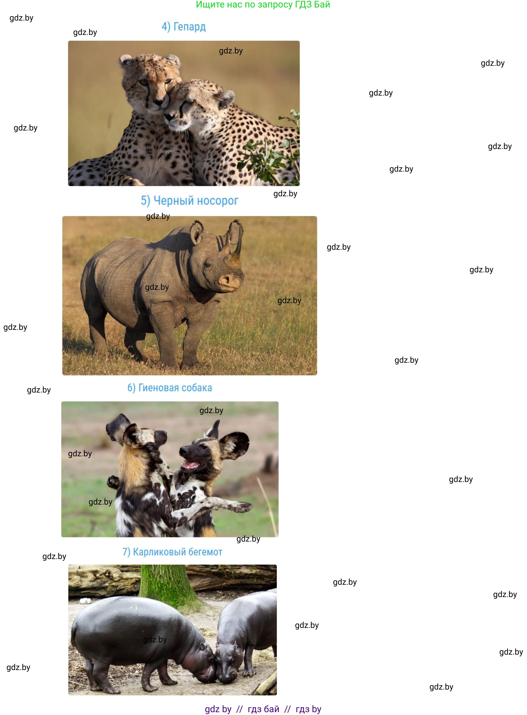 География, 7 класс Учебник, авторы: Кольмакова Елена Генадьевна, Лопух Пётр Степанович, Сарычева Ольга Владимировна, издательство Адукацыя i выхаванне, Минск, 2023, страница 93, Решение (продолжение 3)