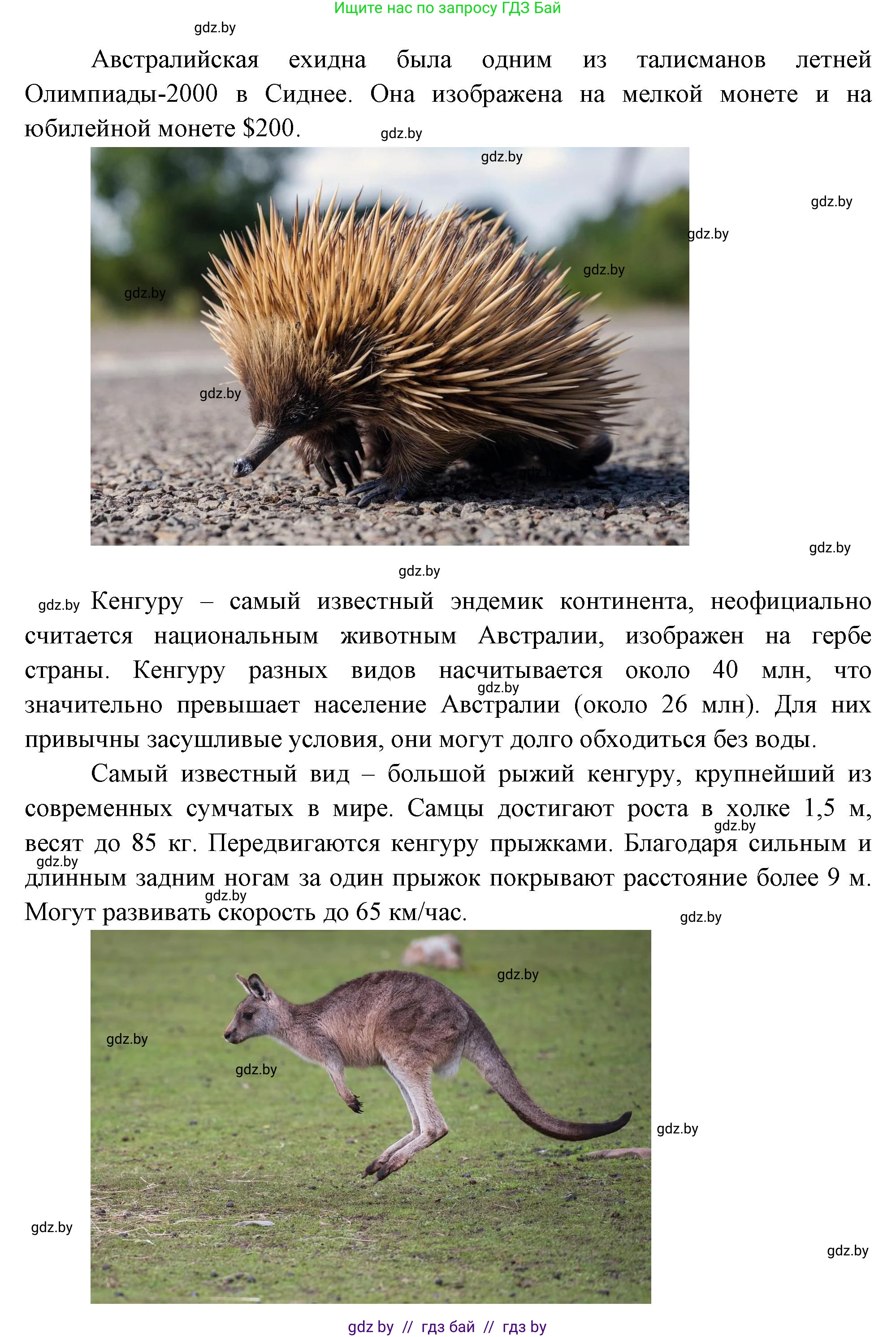 География, 7 класс Учебник, авторы: Кольмакова Елена Генадьевна, Лопух Пётр Степанович, Сарычева Ольга Владимировна, издательство Адукацыя i выхаванне, Минск, 2023, страница 117, Решение (продолжение 2)