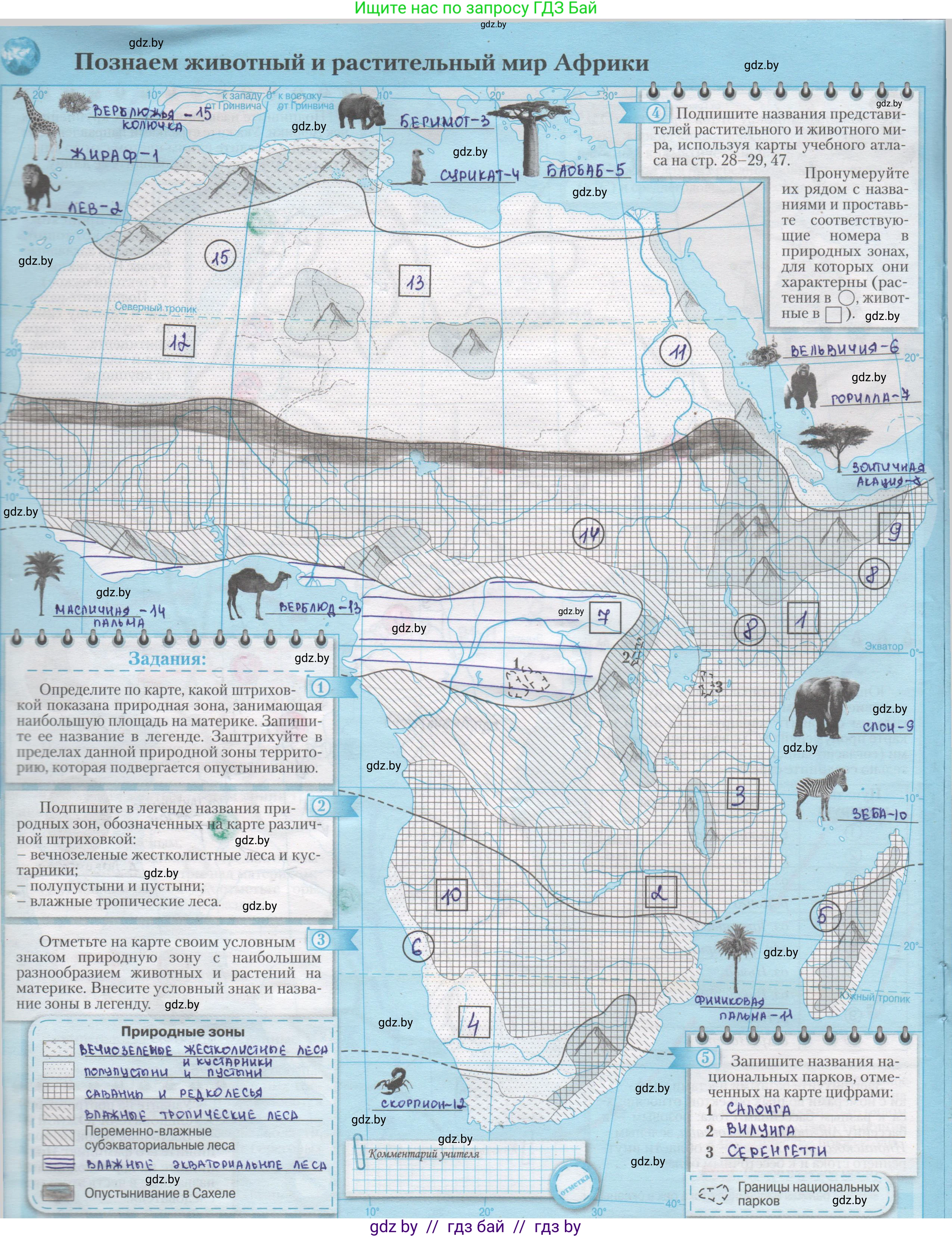 География, 7 класс Контурные карты, авторы: Кольмакова Елена Генадьевна, Сарычева Ольга Владимировна, издательство Белкартография, Минск, 2021, голубого цвета, страница 18, Решение