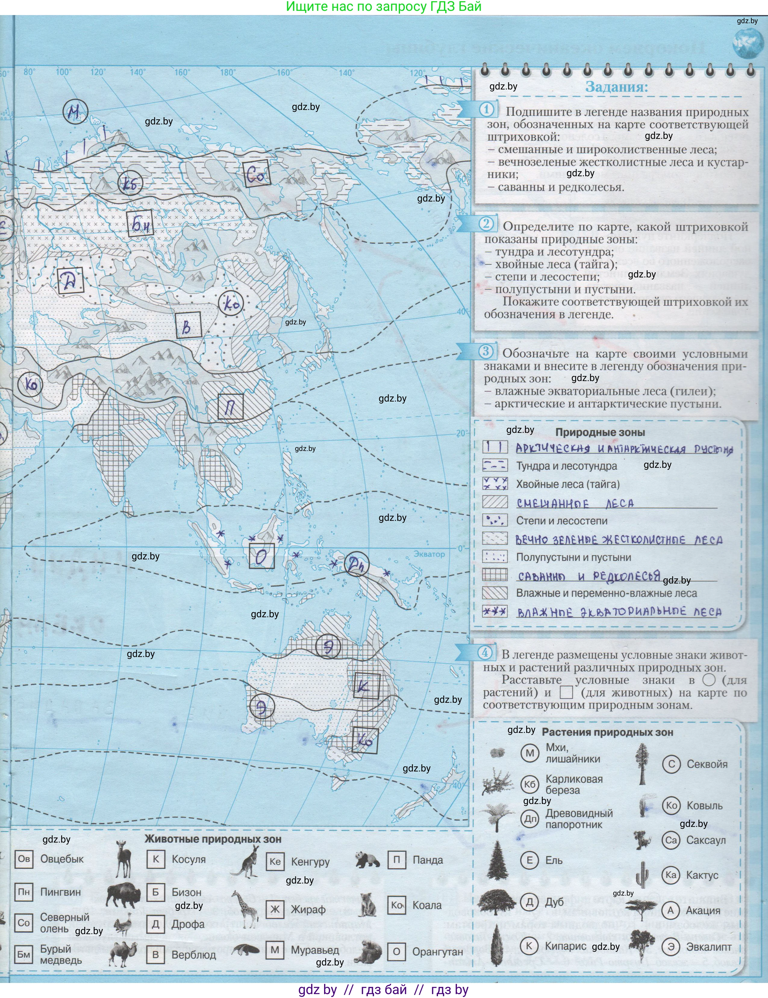 География, 7 класс Контурные карты, авторы: Кольмакова Елена Генадьевна, Сарычева Ольга Владимировна, издательство Белкартография, Минск, 2021, голубого цвета, страница 9, Решение