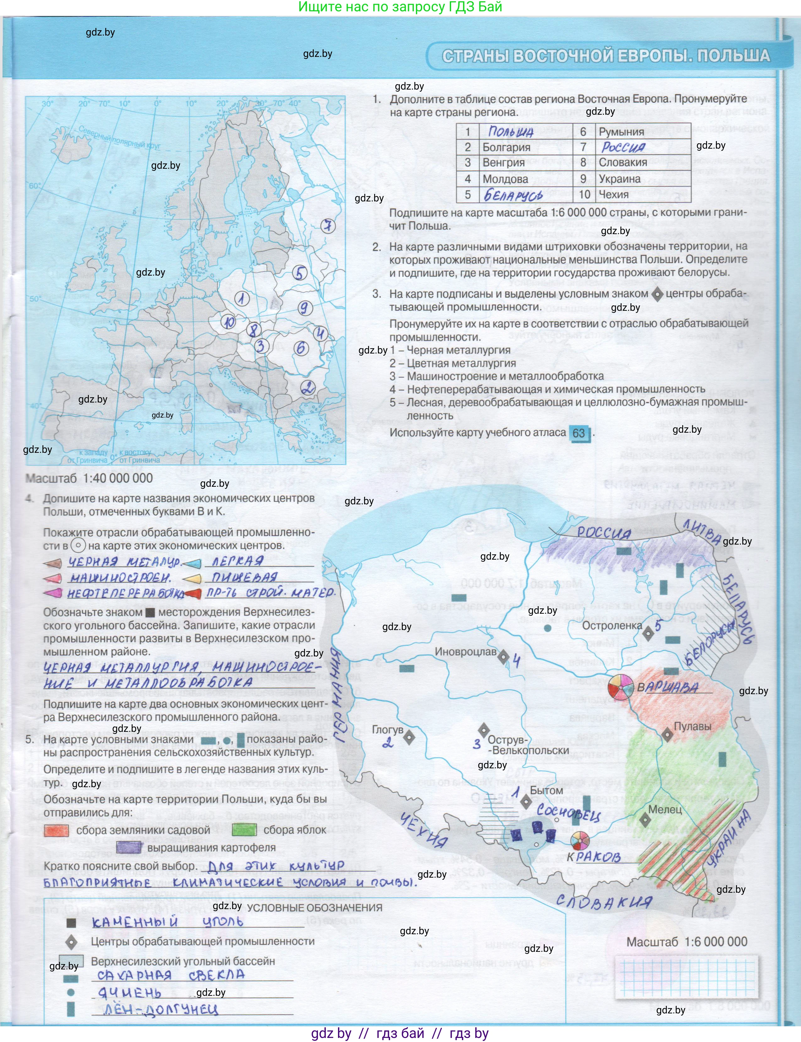 География, 8 класс Контурные карты, авторы: Озем Г З, Ольмец Л Г, Шкель Людмила Валерьевна, Фокеева Л В, издательство Белкартография, Минск, 2022, голубого цвета, страница 29, Решение