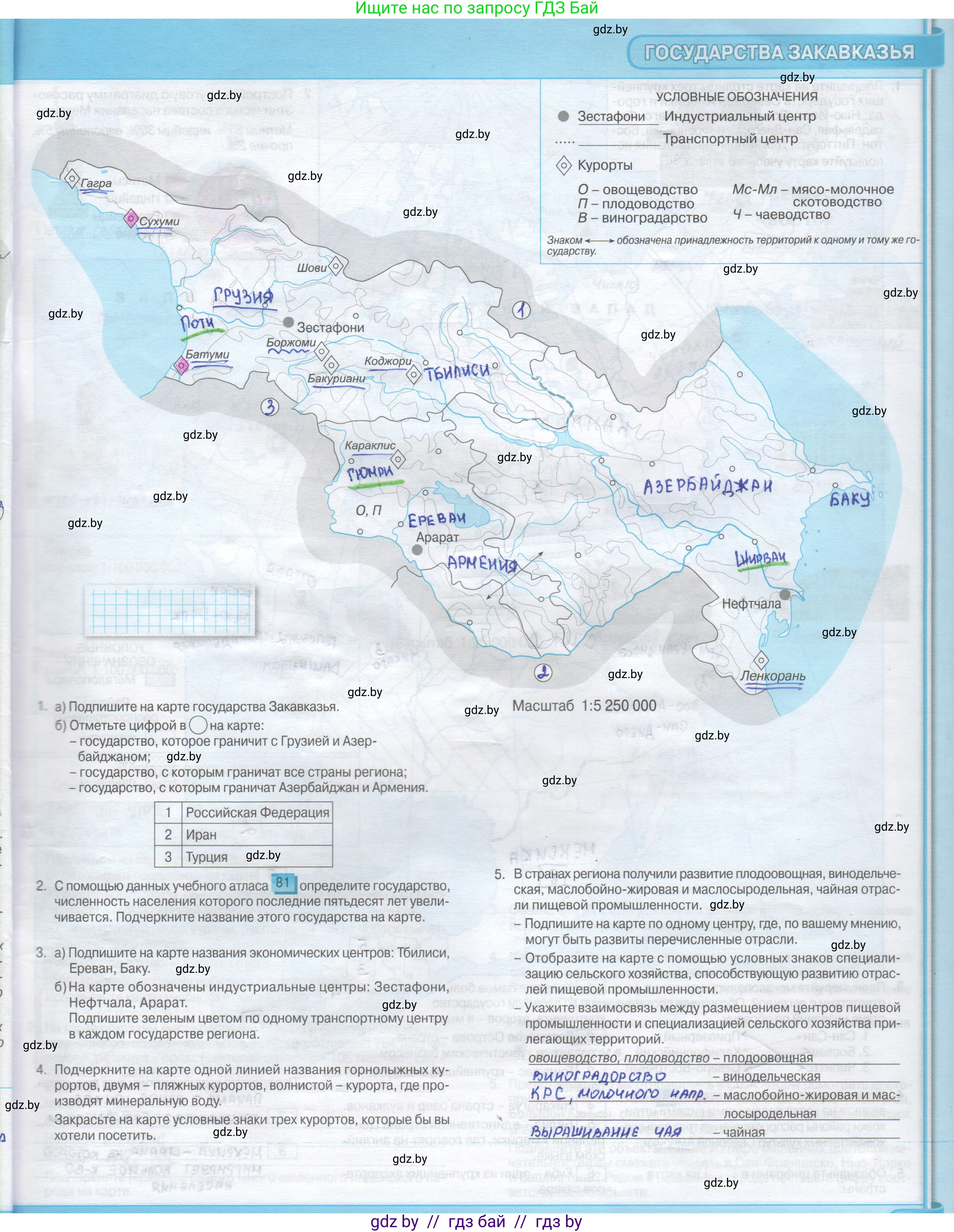 География, 8 класс Контурные карты, авторы: Озем Г З, Ольмец Л Г, Шкель Людмила Валерьевна, Фокеева Л В, издательство Белкартография, Минск, 2022, голубого цвета, страница 39, Решение