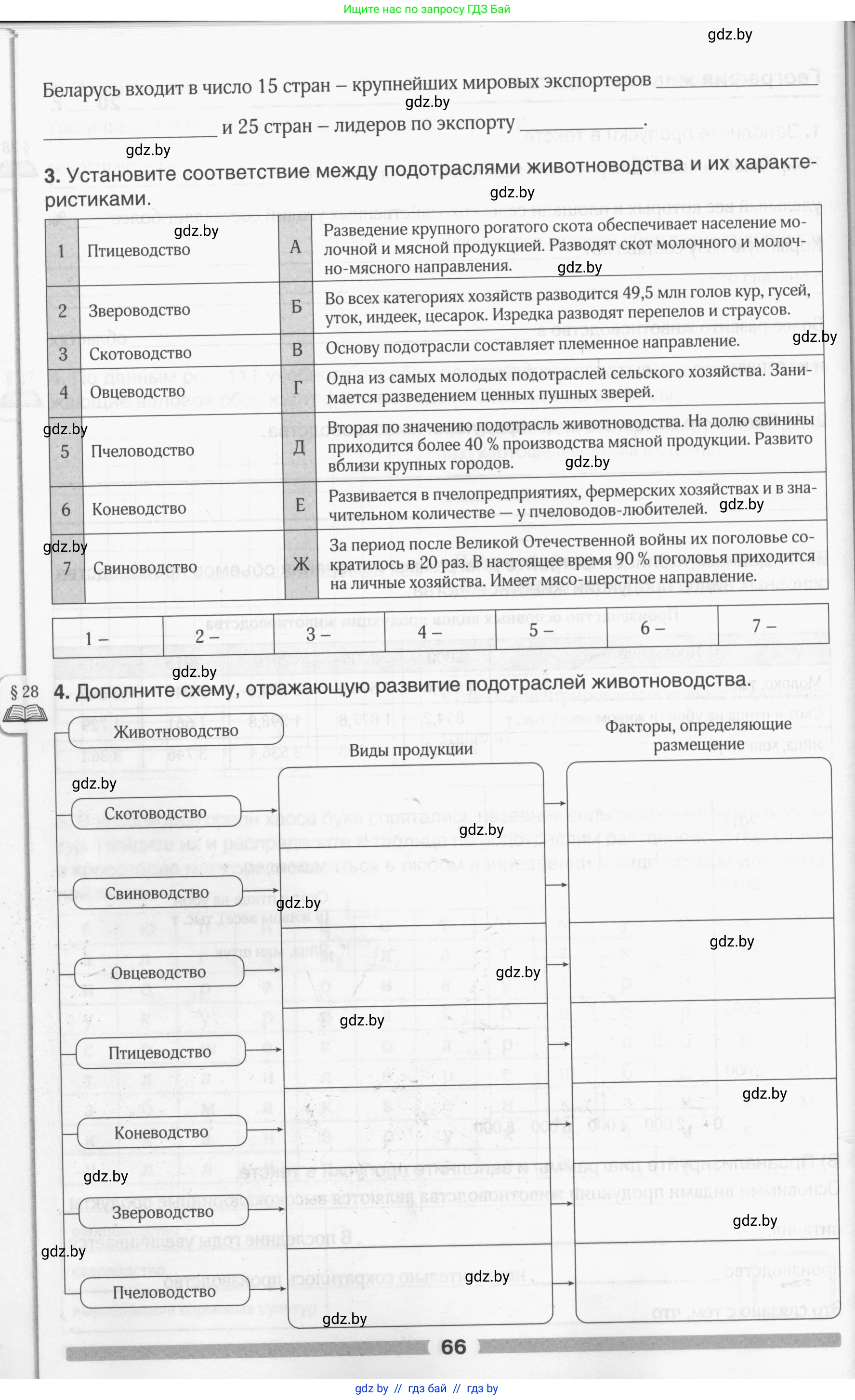 География, 9 класс рабочая тетрадь, авторы: Брилевский Михаил Николаевич, Климович Алеся Владимировна, издательство Белкартография, Минск, 2021, бирюзового цвета, страница 66