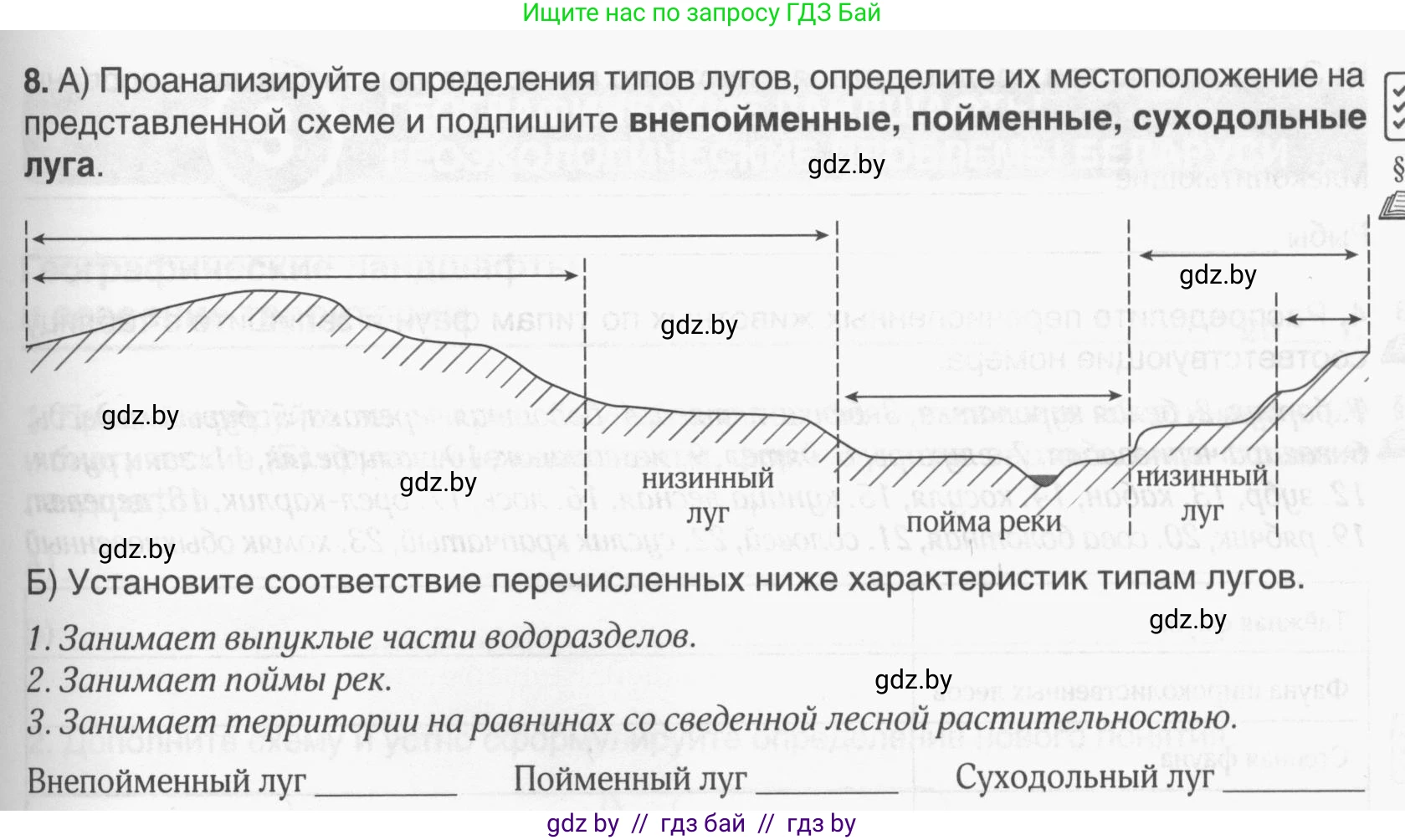 География, 9 класс рабочая тетрадь, авторы: Брилевский Михаил Николаевич, Климович Алеся Владимировна, издательство Белкартография, Минск, 2021, бирюзового цвета, страница 29, номер 8, Условие