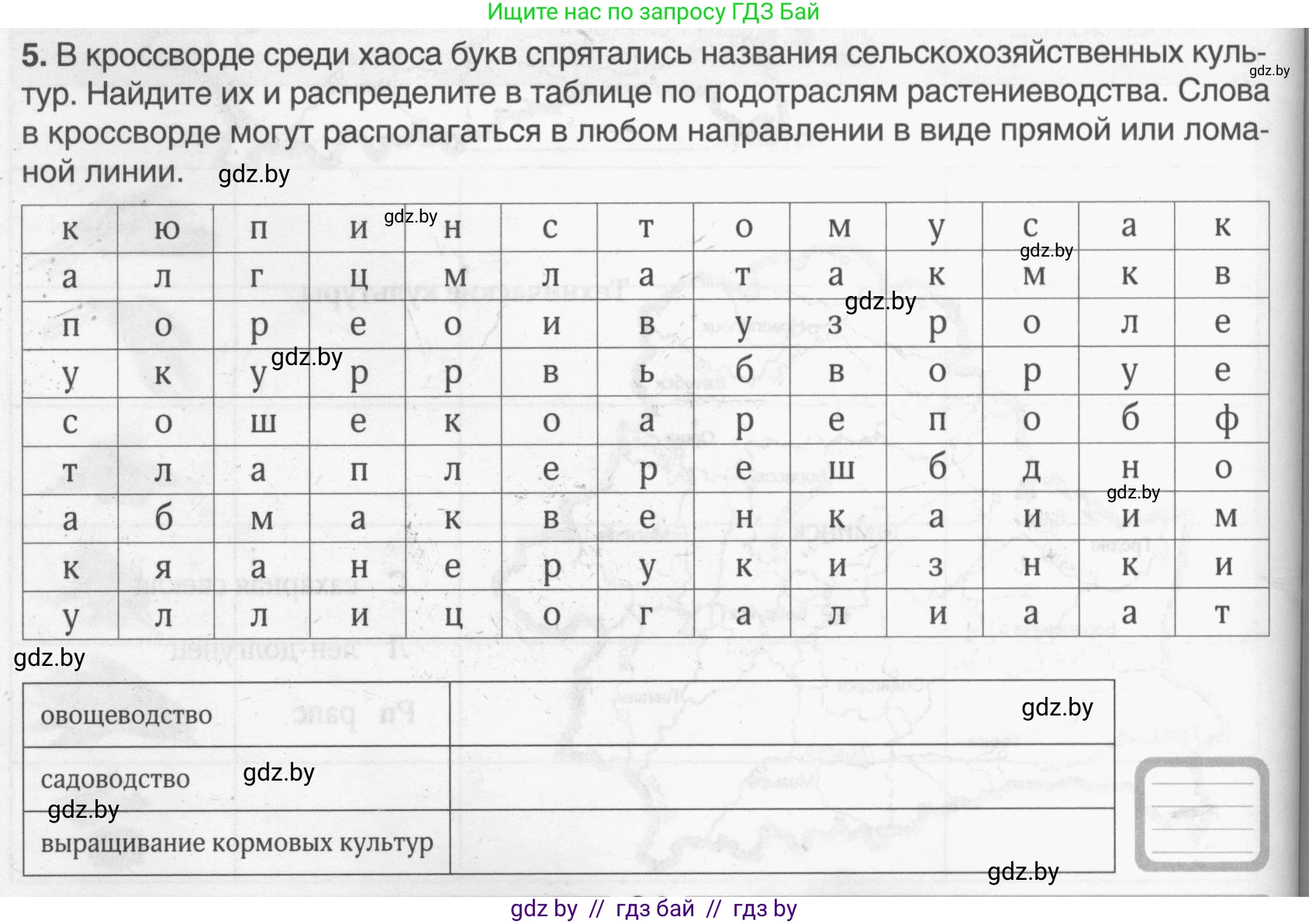 География, 9 класс рабочая тетрадь, авторы: Брилевский Михаил Николаевич, Климович Алеся Владимировна, издательство Белкартография, Минск, 2021, бирюзового цвета, страница 64, номер 5, Условие